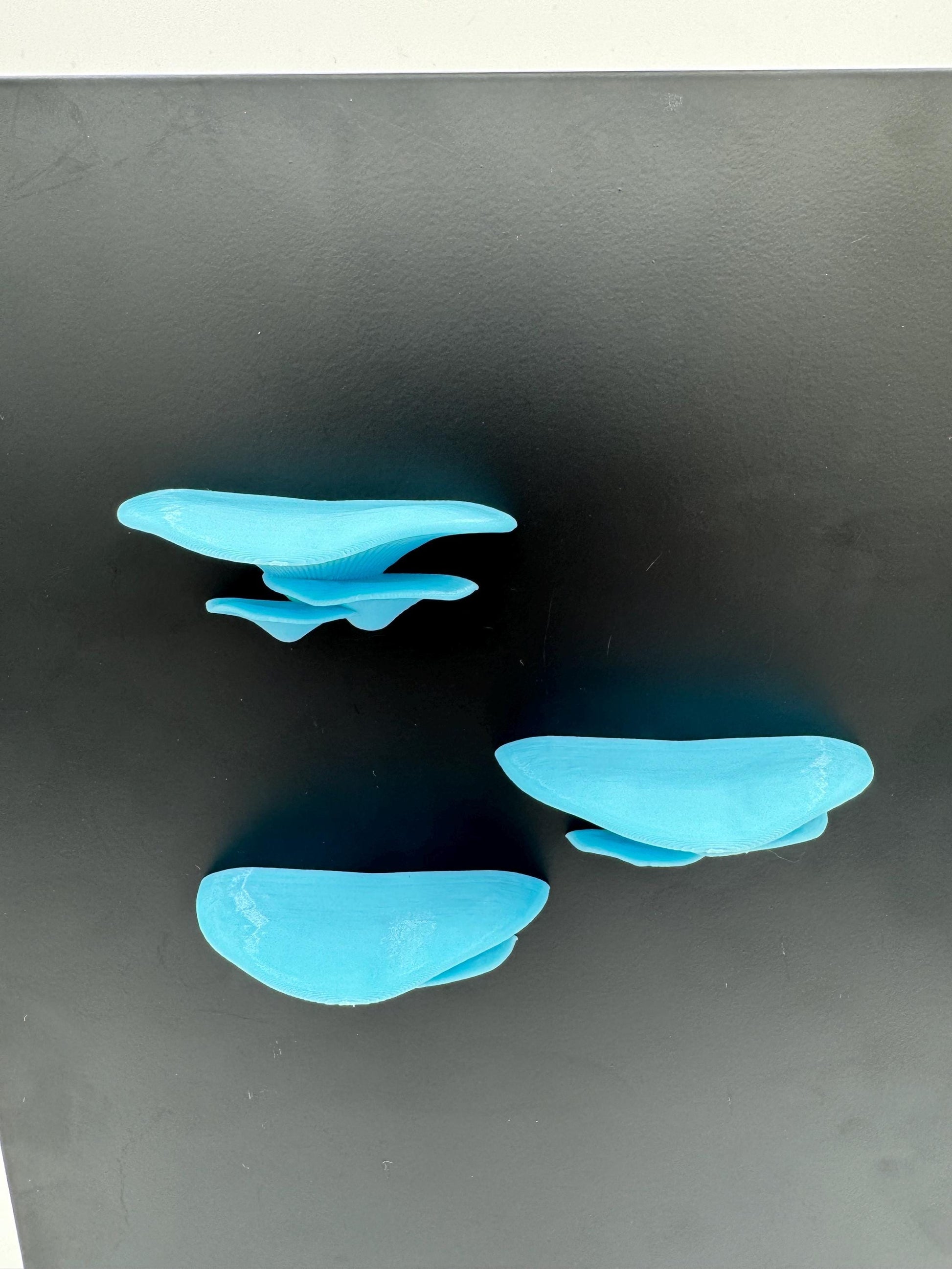 Magnetic blue “glow” mushroom ledge *Built In Magnet*