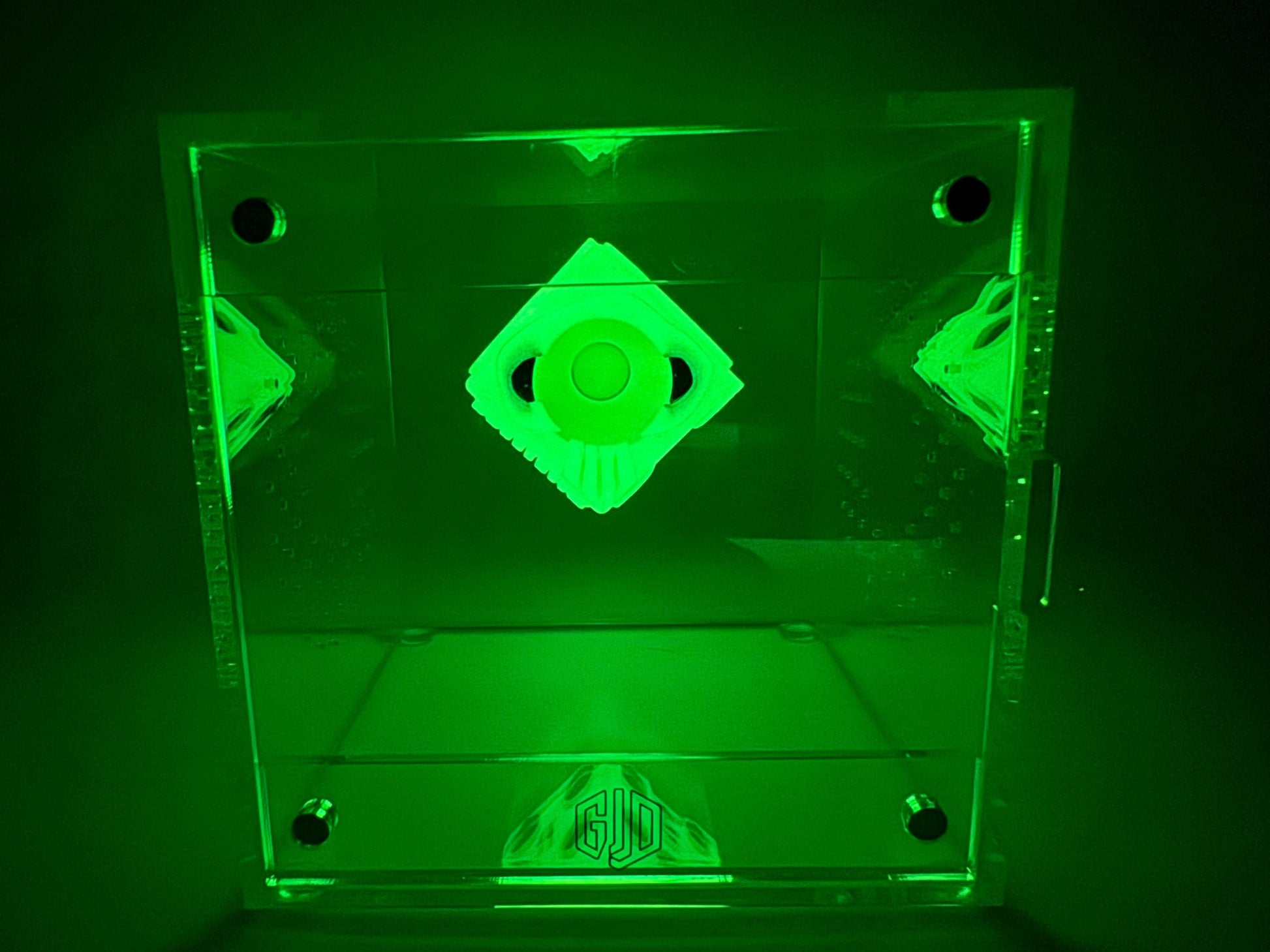GLOW Boogie Dice jumping spider hide