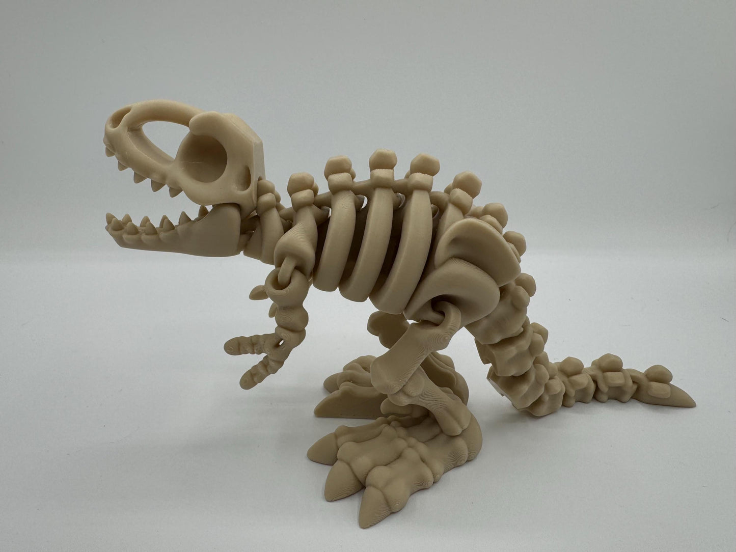 Articulating Bone Dino