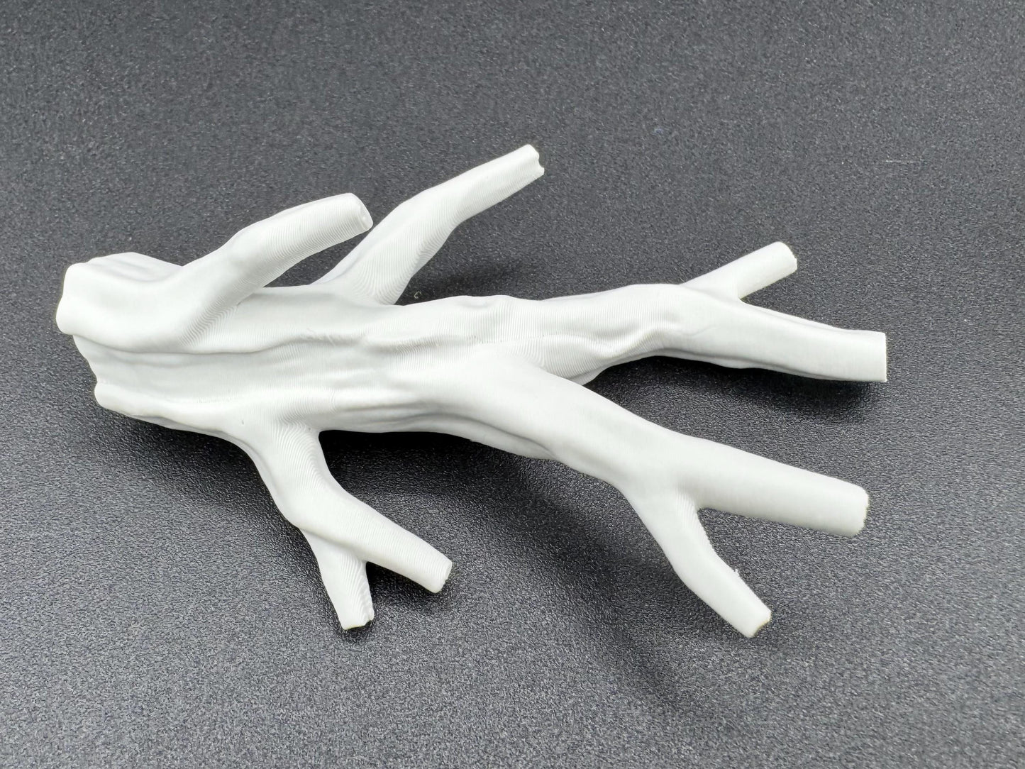 Branch ledge for jumping spiders and invertebrates *Built In Magnet*