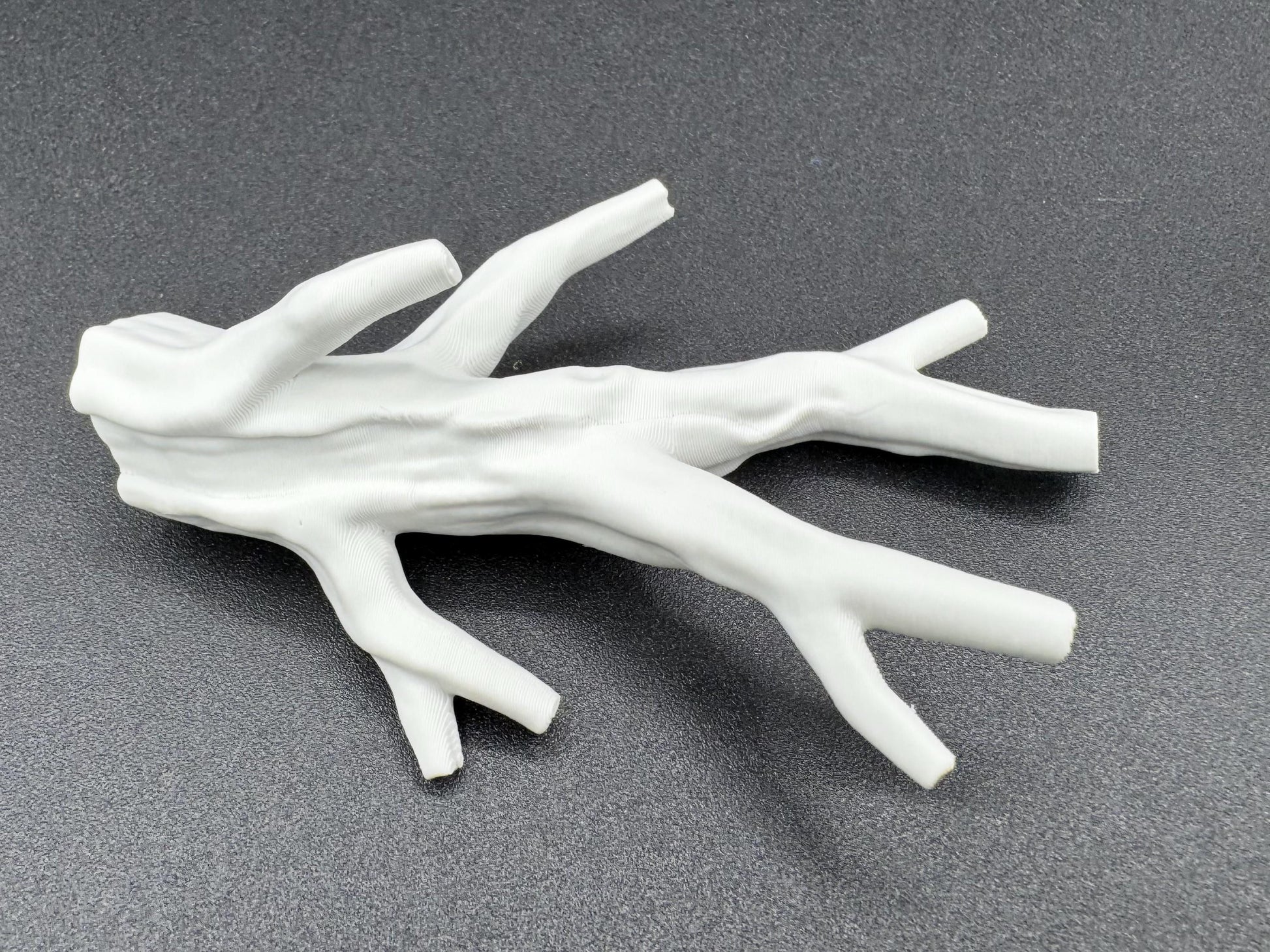 Branch ledge for jumping spiders and invertebrates *Built In Magnet*