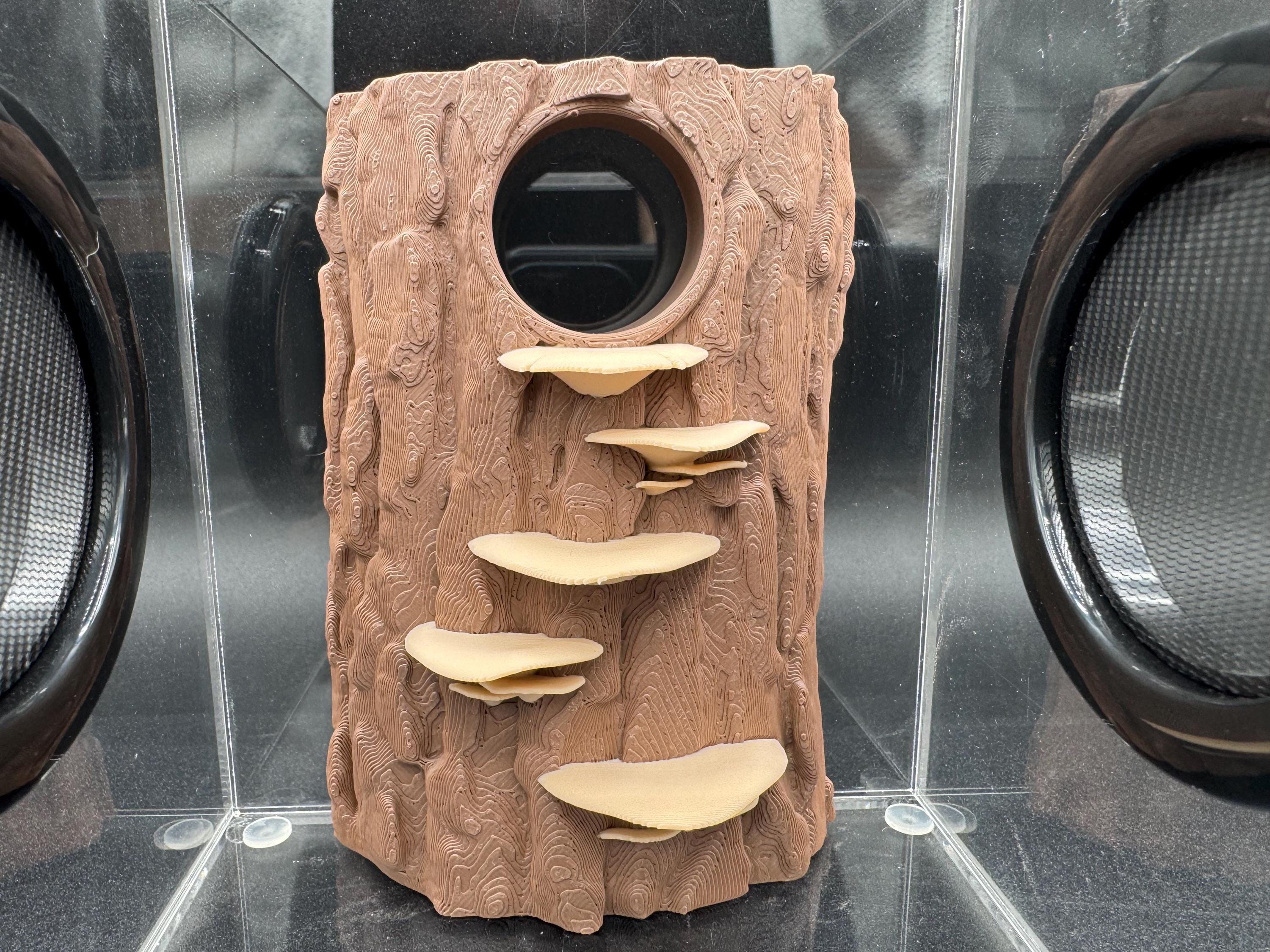 3D Universal Treehouse Insert for jumping spiders and invertebrate enc ...