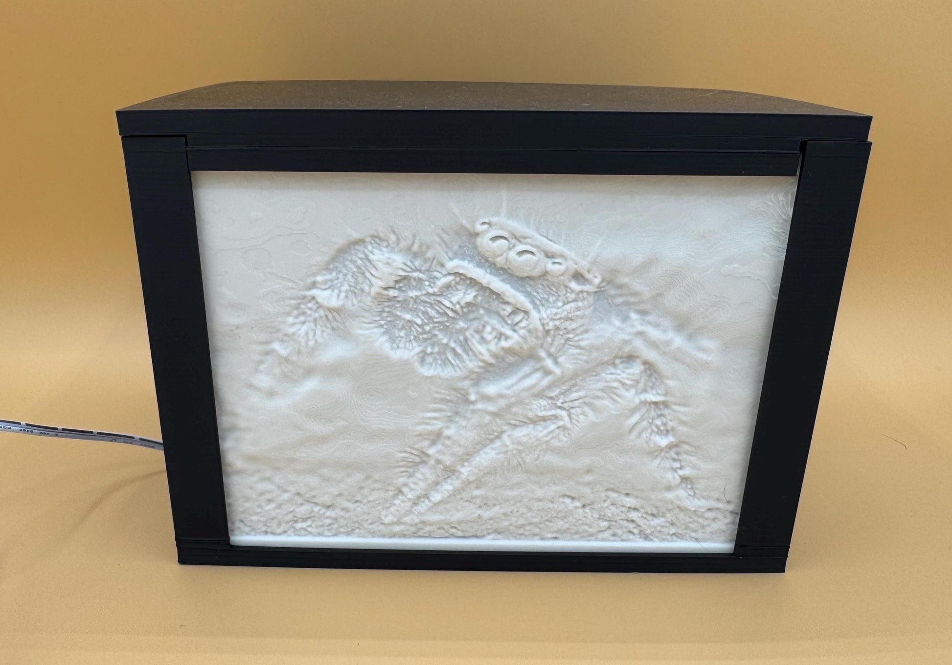 Personalized Backlit Lithophane PhotoBox