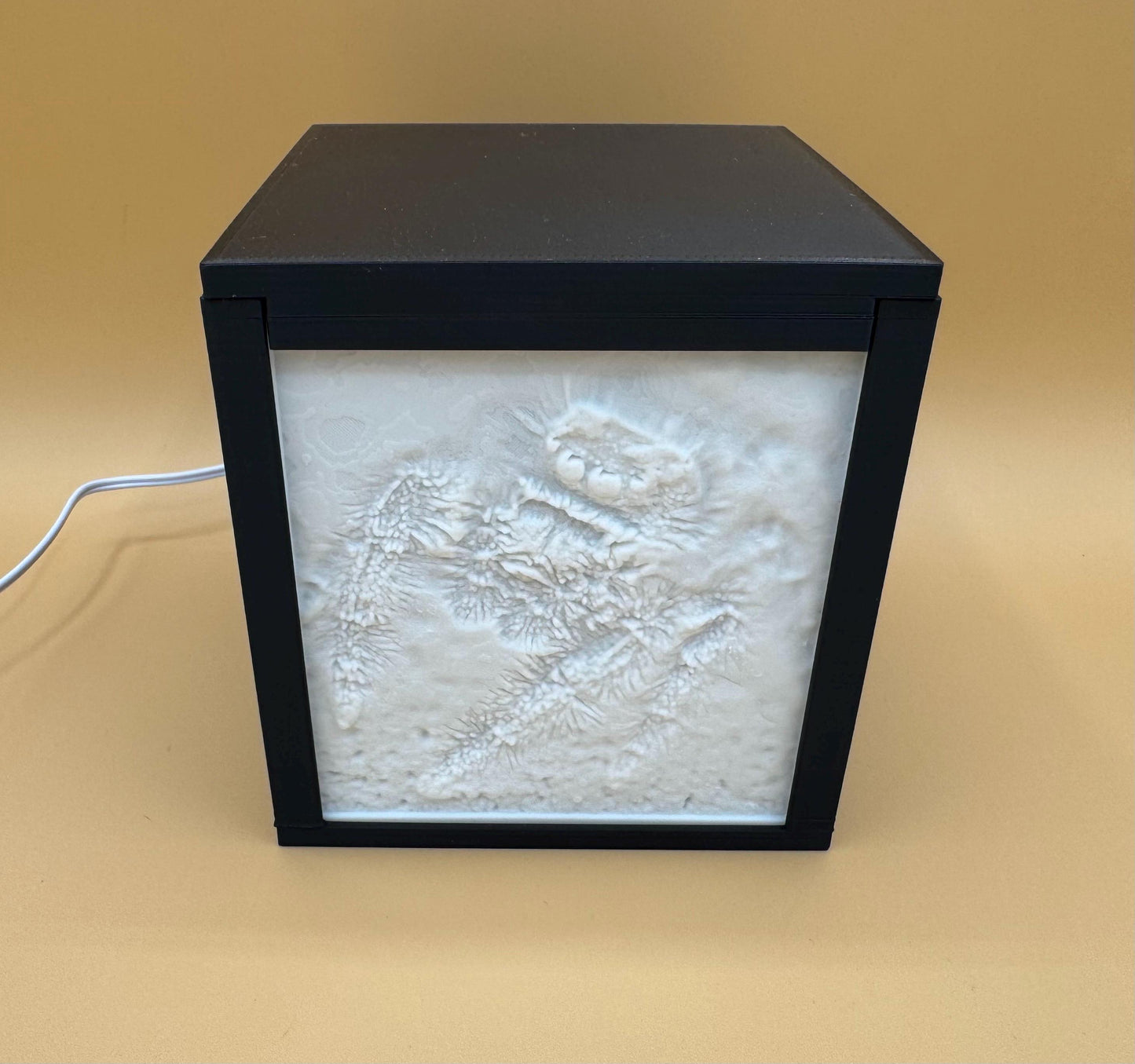 Personalized Backlit Lithophane PhotoBox