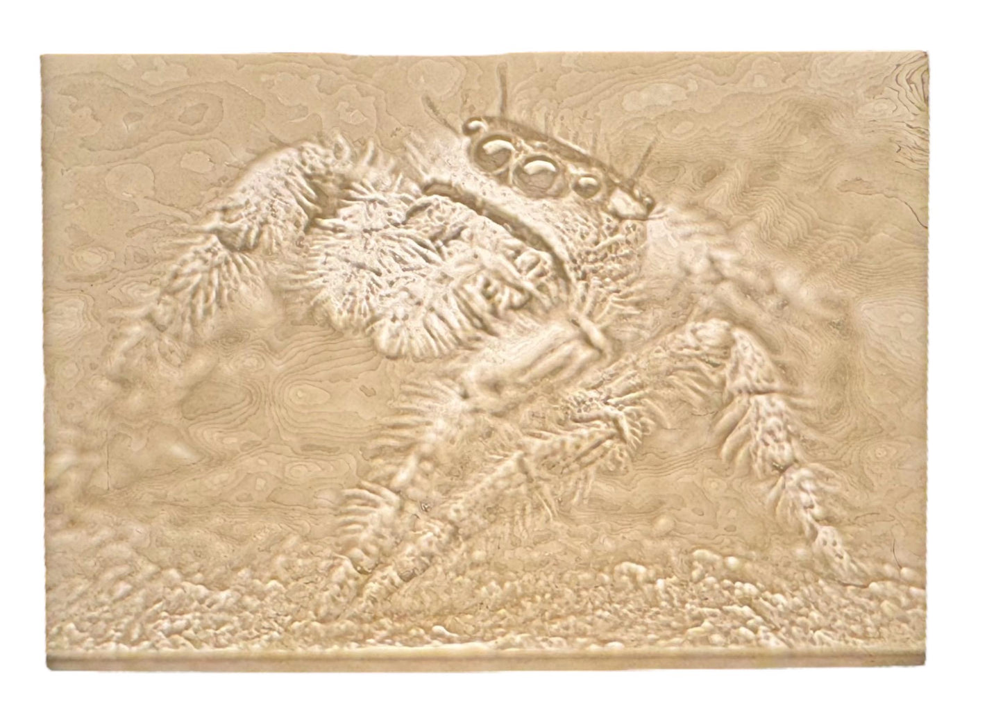 Personalized Lithophane