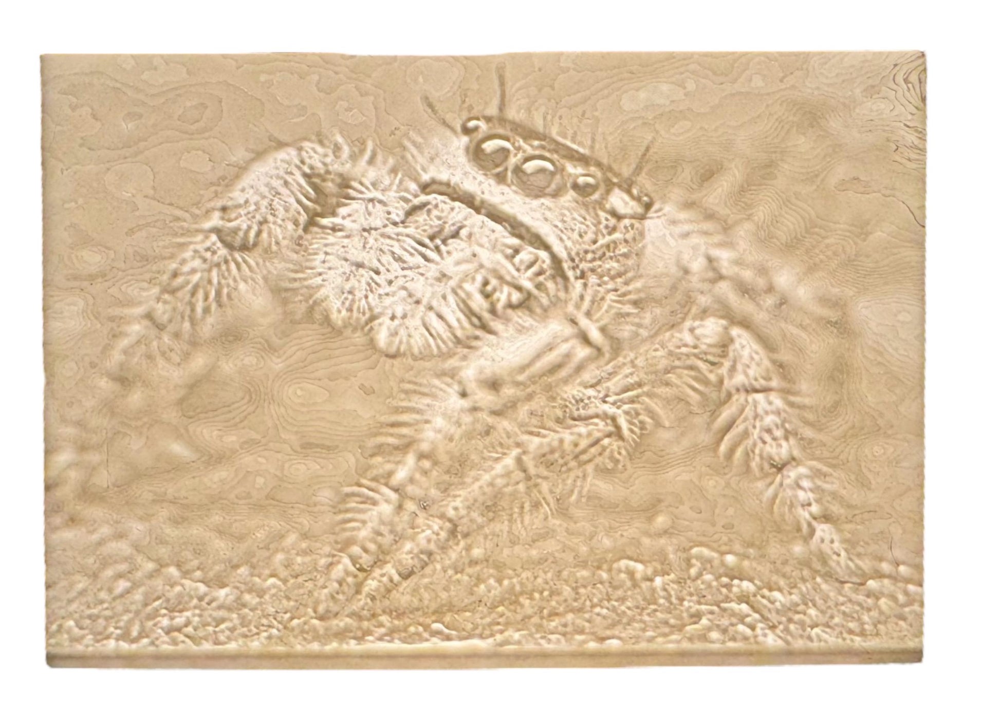 Personalized Lithophane