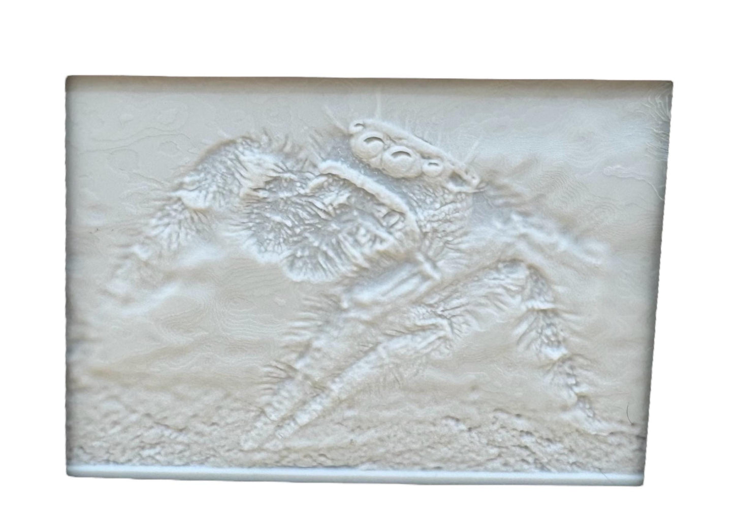 Personalized Lithophane