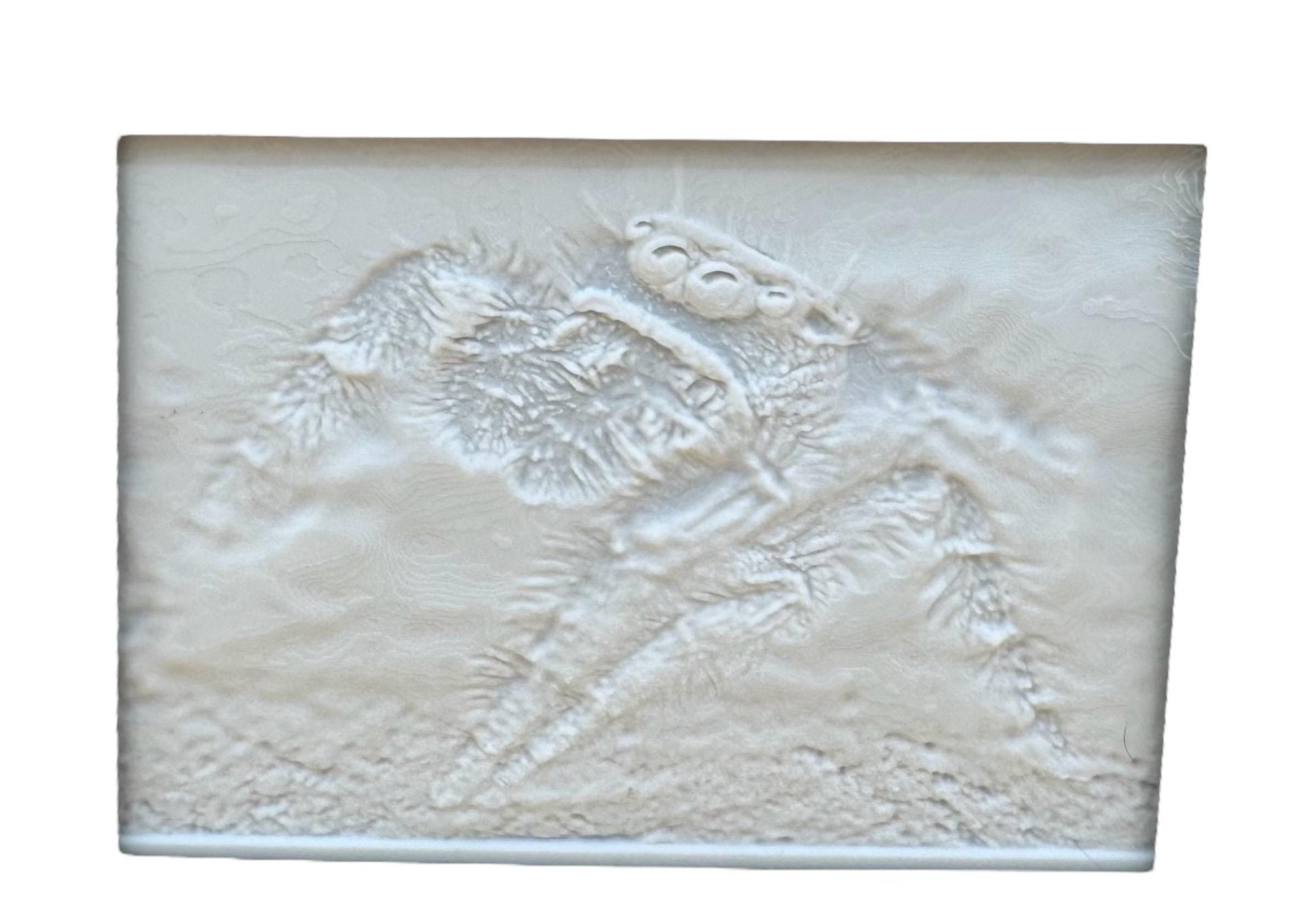 Personalized Lithophane