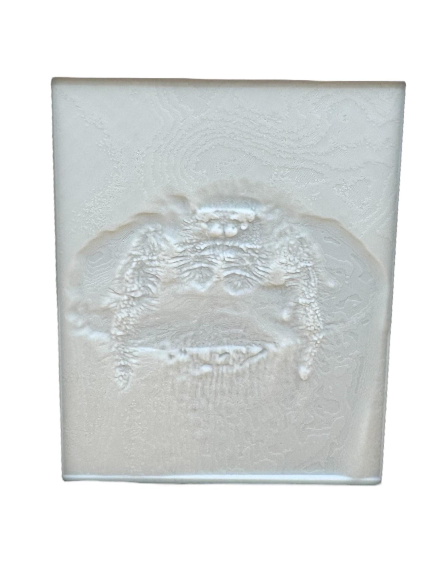 Personalized Lithophane