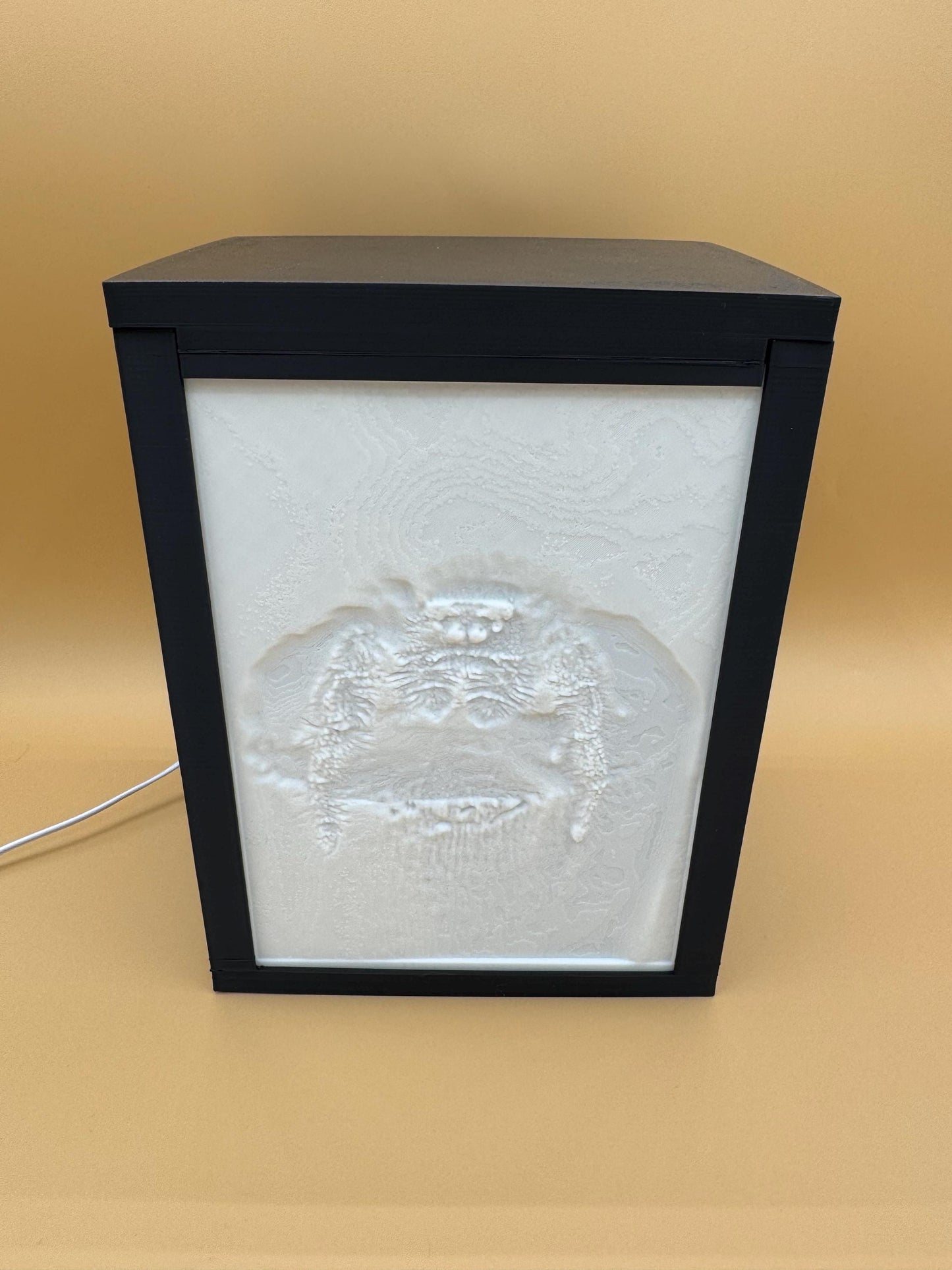 Personalized Backlit Lithophane PhotoBox