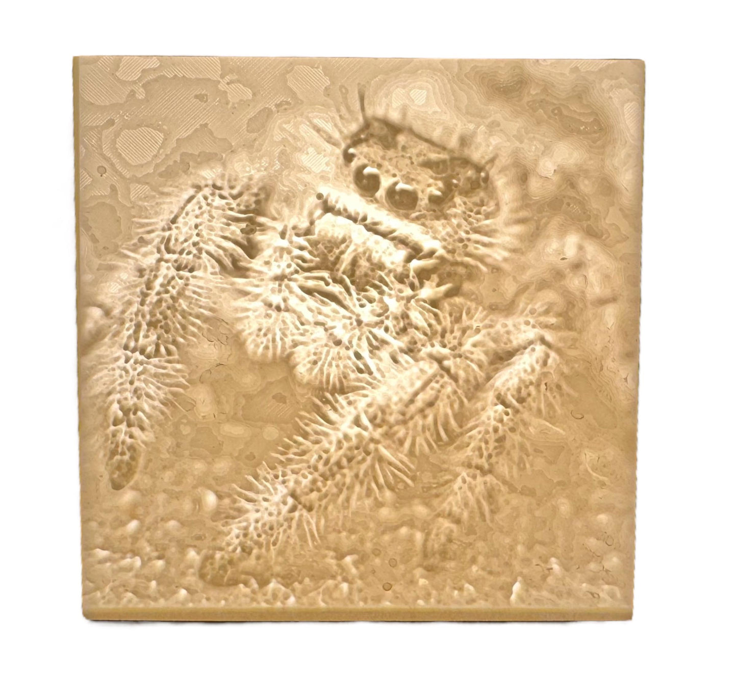 Personalized Lithophane