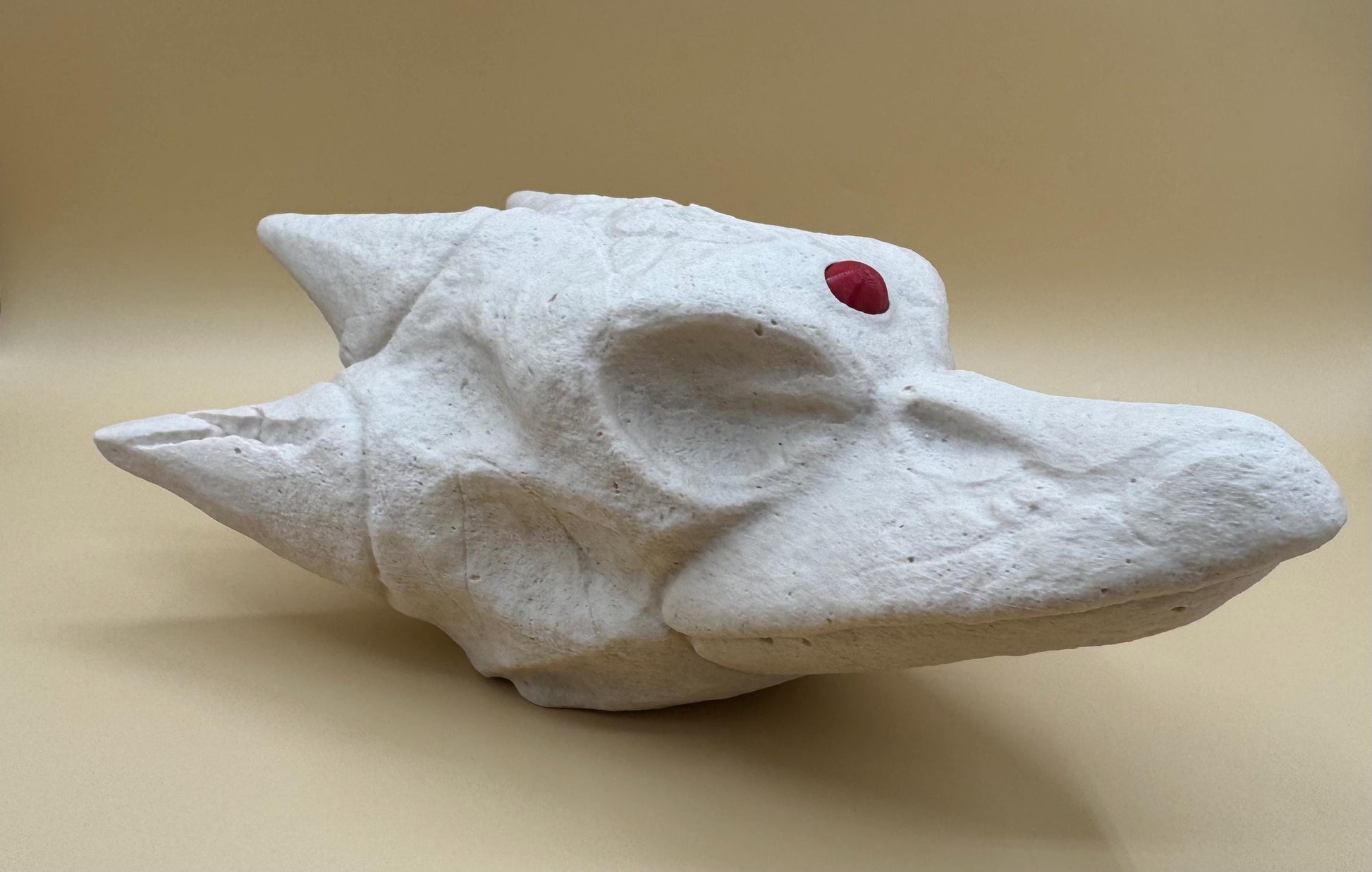 Large Golduck Skull