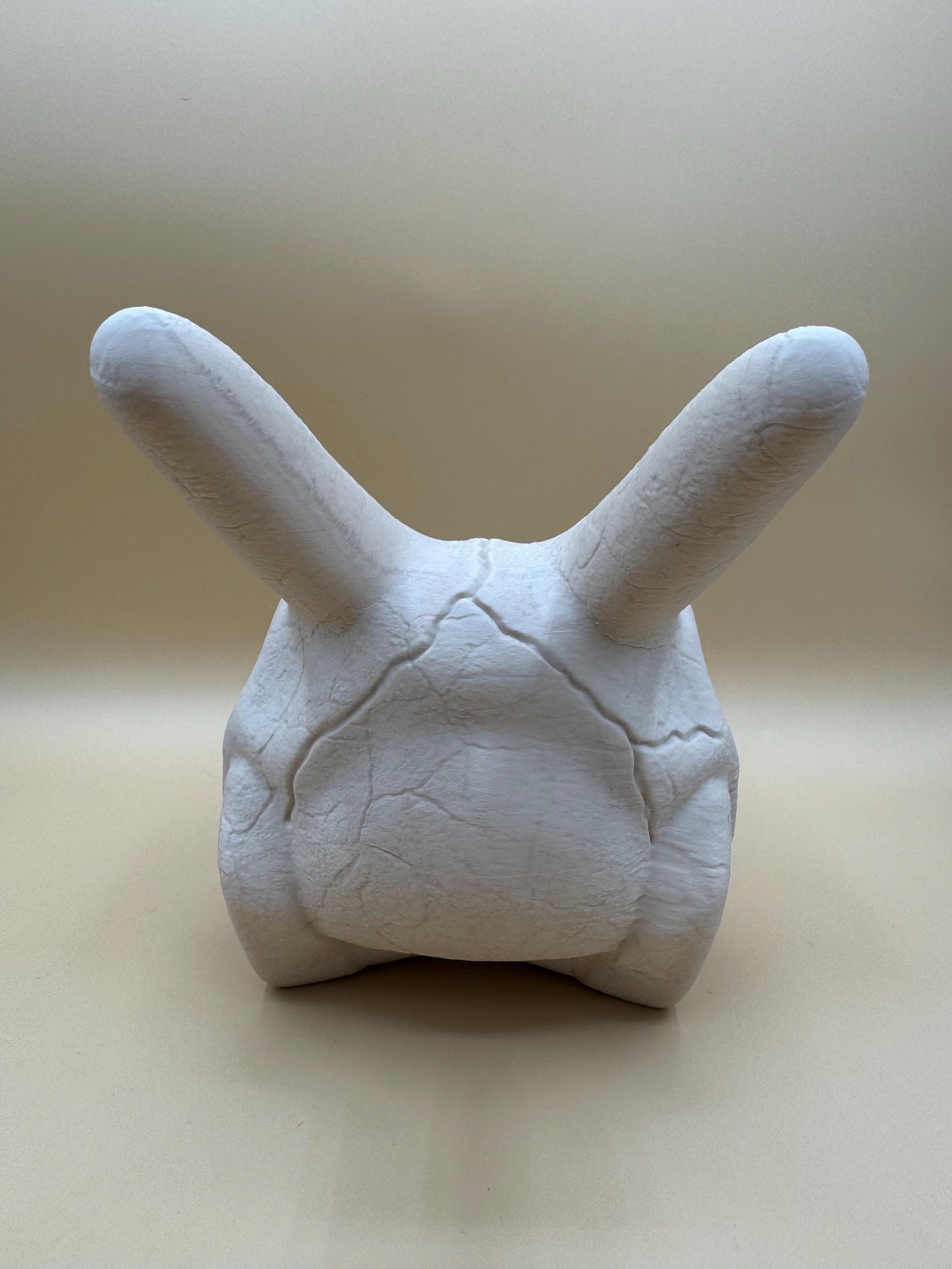 Charizard Skull