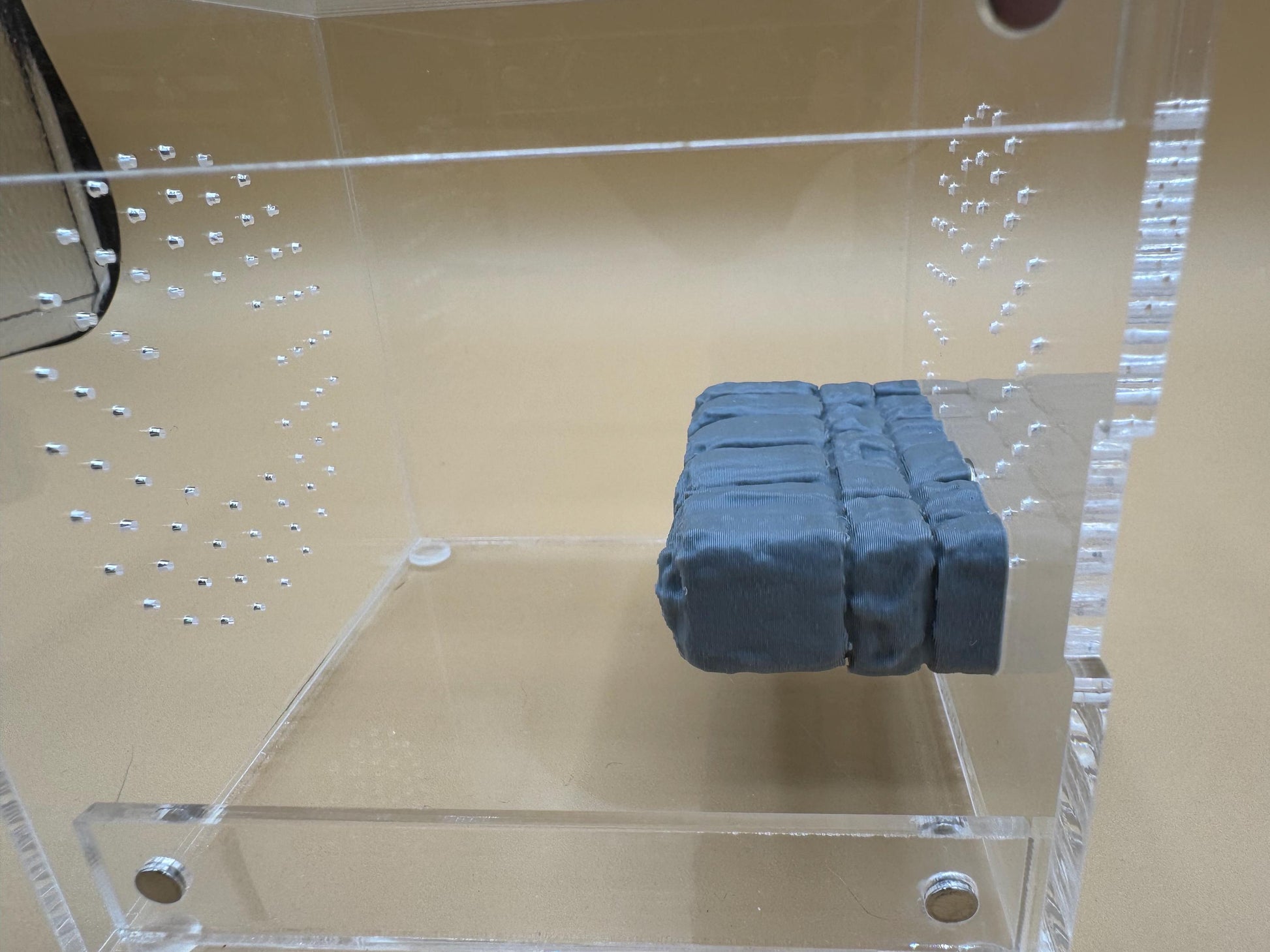 Dungeon ledge for jumping spiders and invertebrates *Built In Magnet*