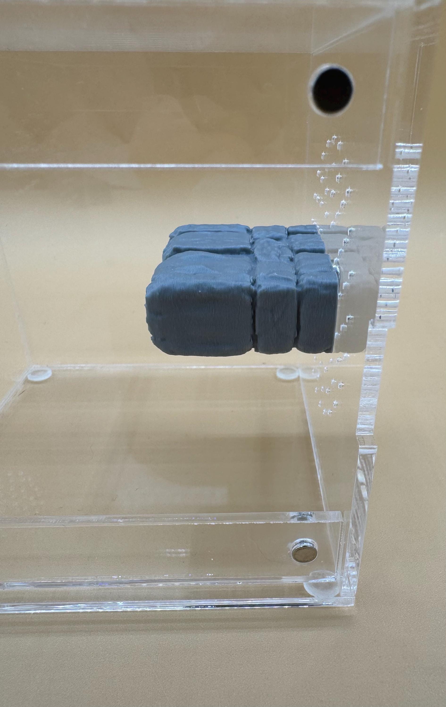 Dungeon ledge for jumping spiders and invertebrates *Built In Magnet*