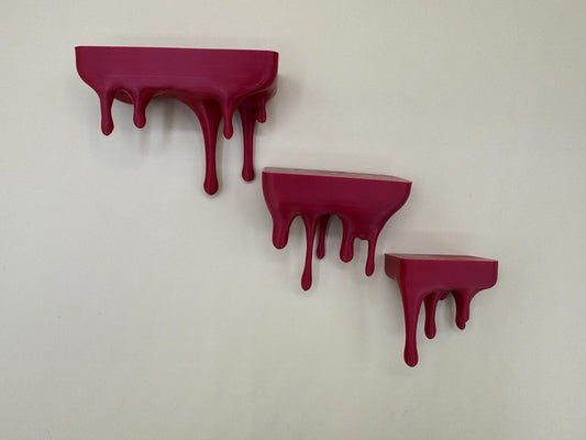 Drippy ledge bundle (3 ledges) for jumping spiders and invertebrates *Built In Magnet*