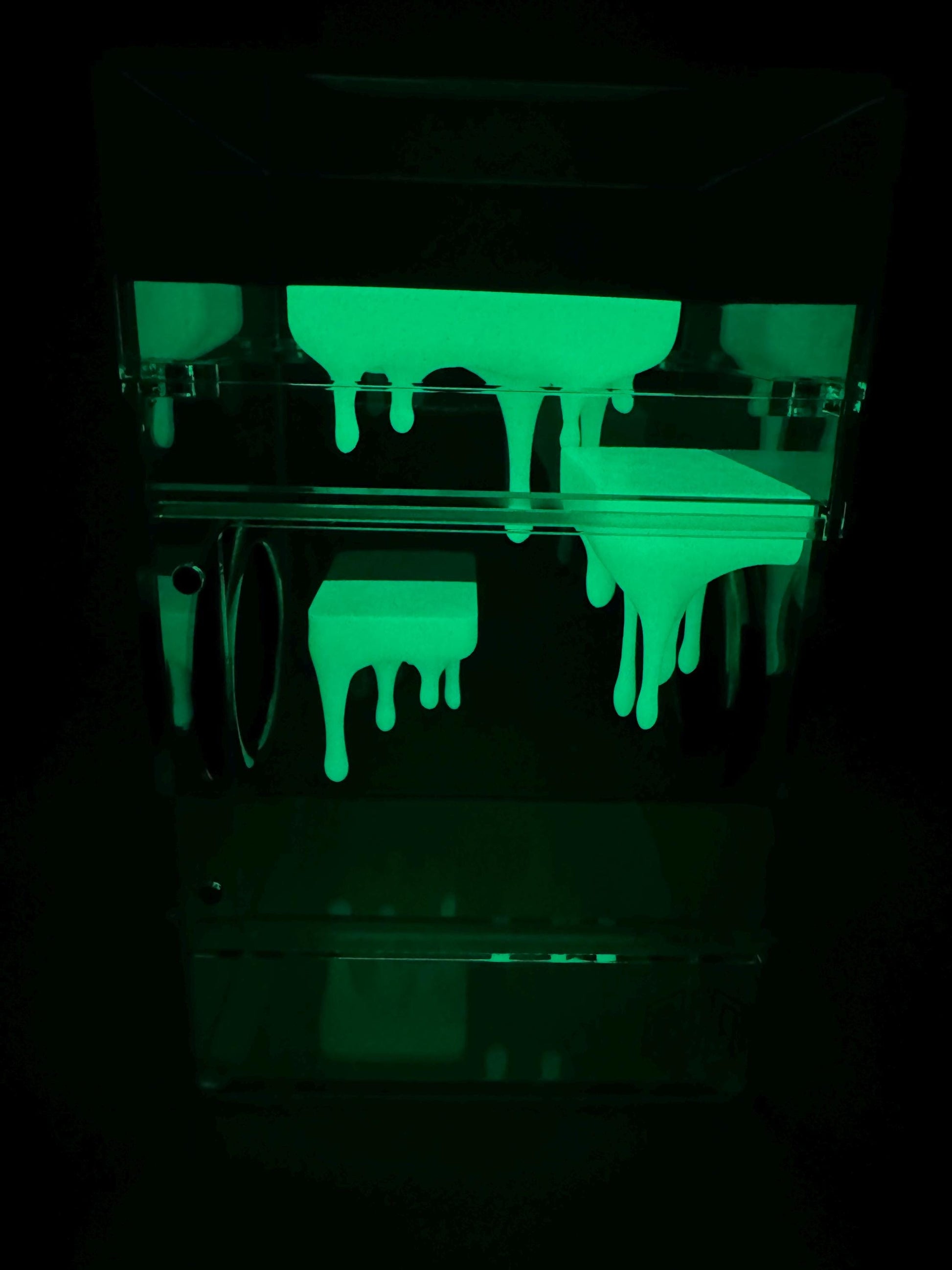 Drippy ledge for jumping spiders and invertebrates *Built In Magnet*