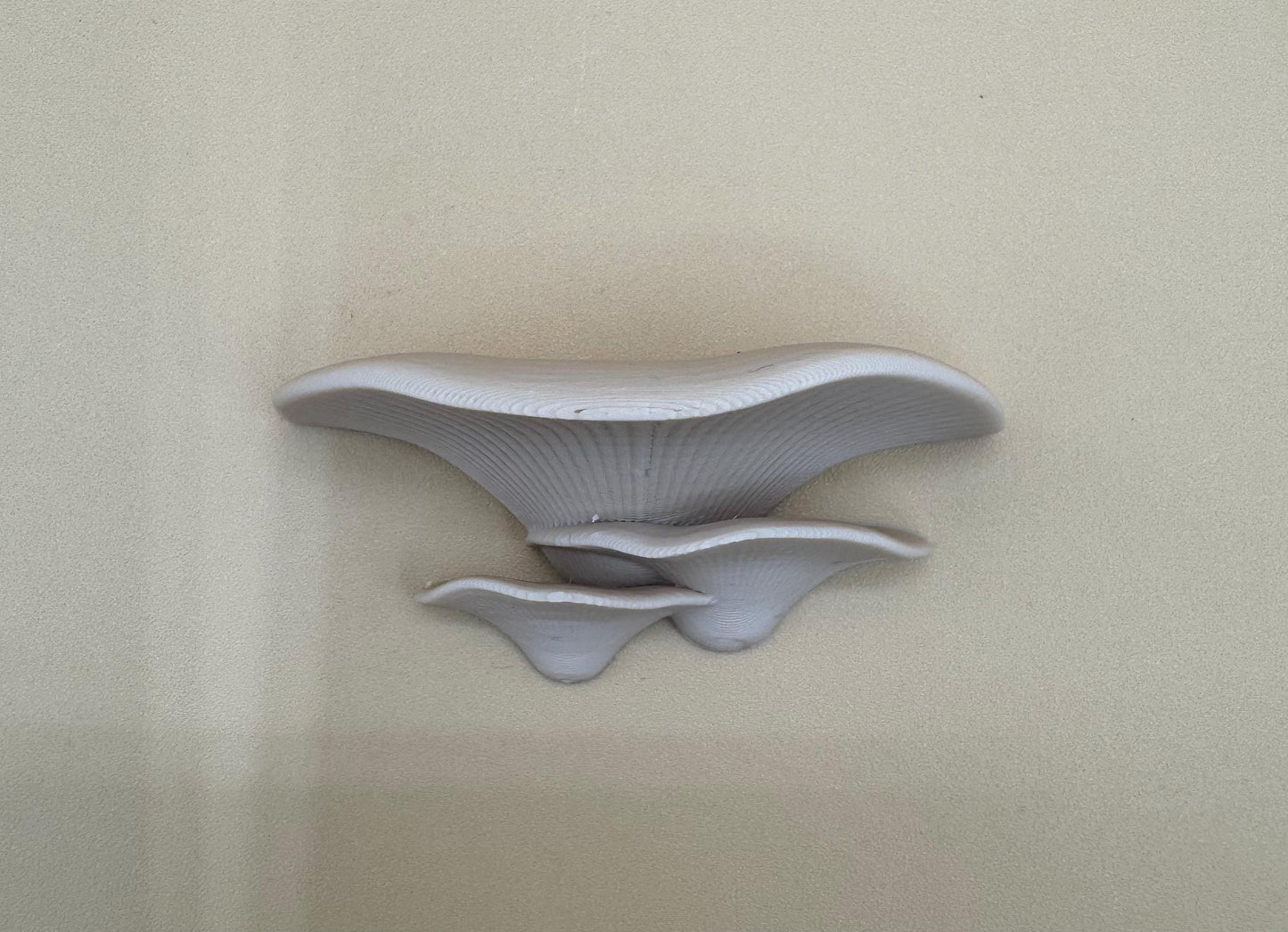 Magnetic mushroom ledge bundle *Built In Magnet*