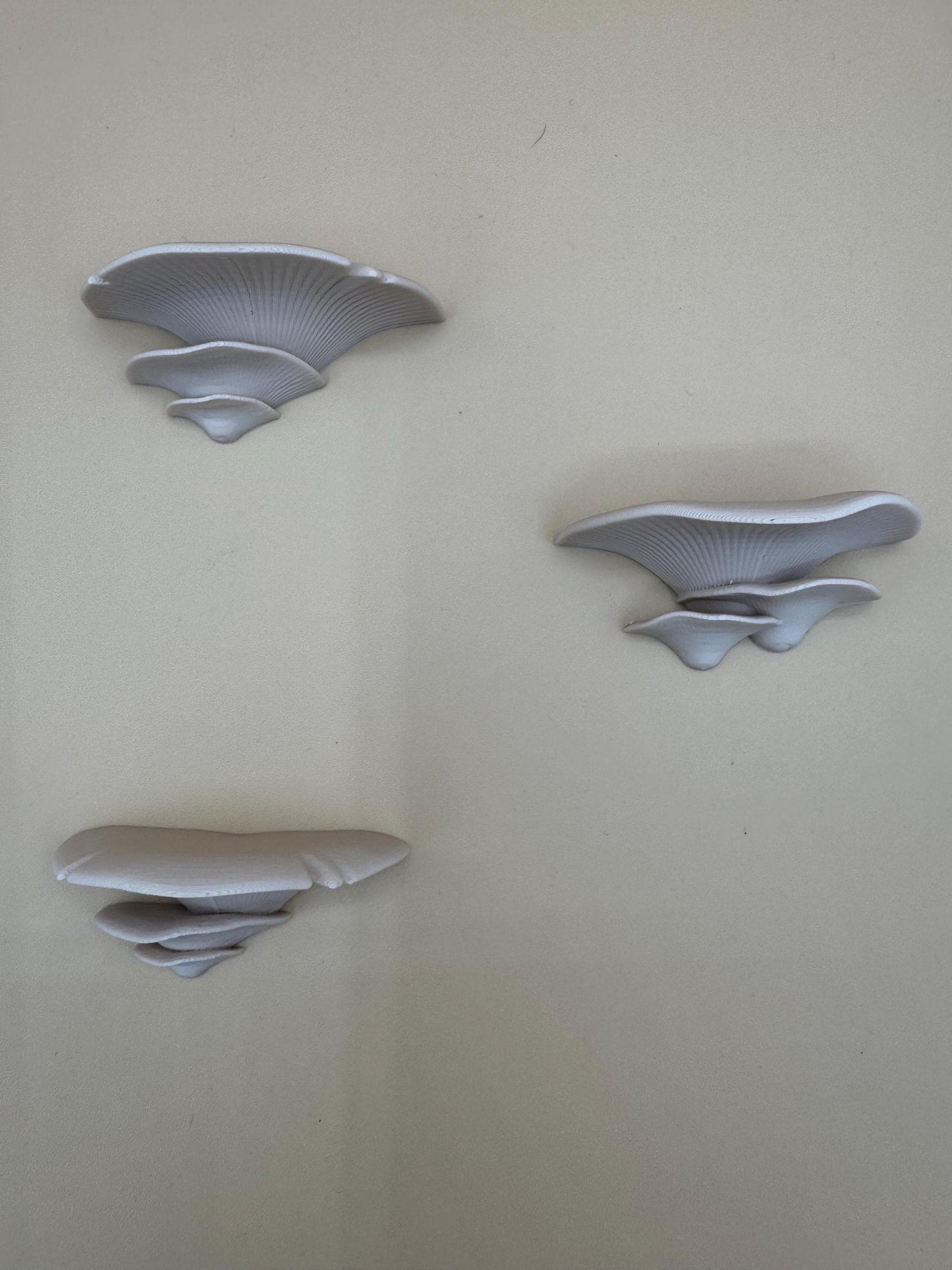 Magnetic mushroom ledge bundle *Built In Magnet*