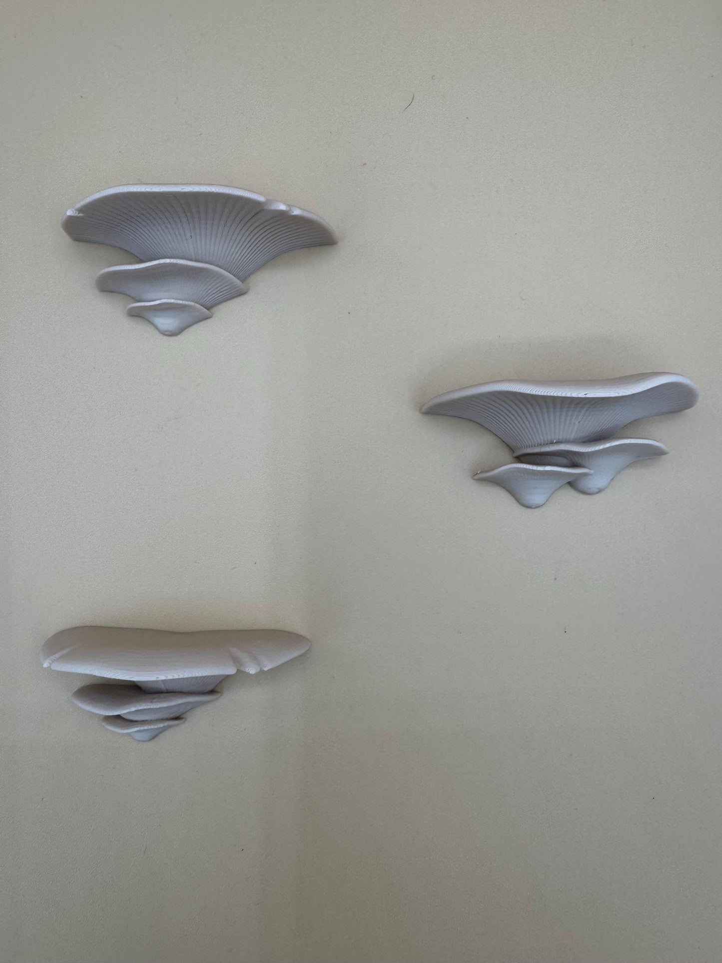 Magnetic mushroom ledge *Built In Magnet*