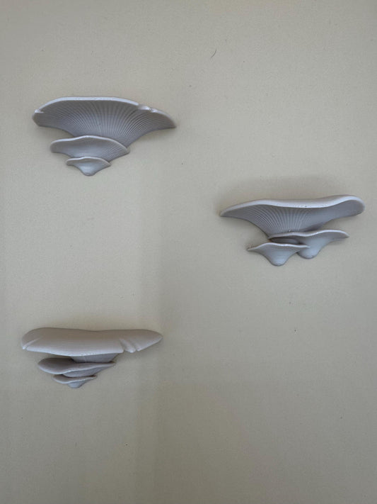Magnetic mushroom ledge *Built In Magnet*