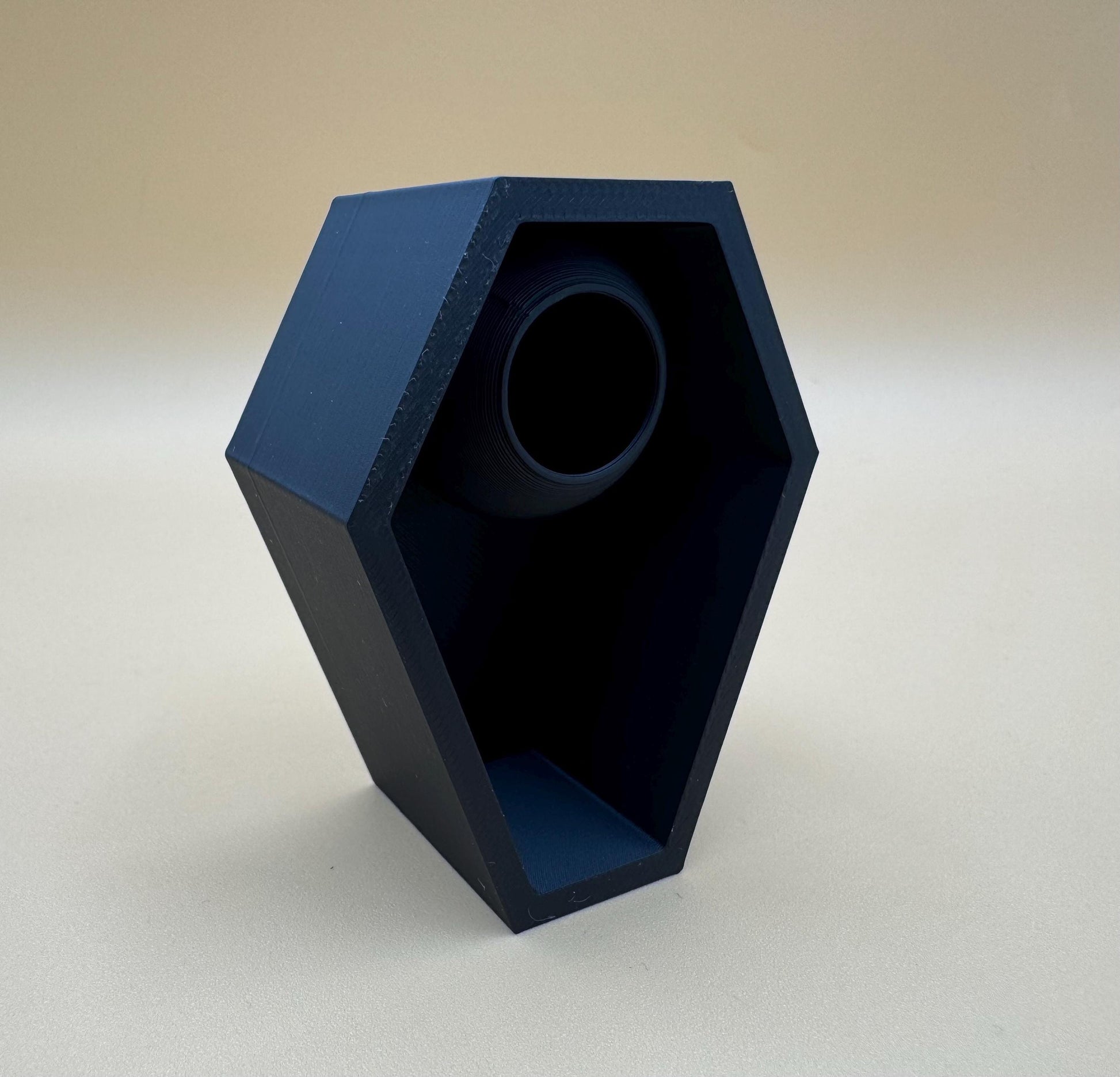 Magnetic coffin Jumping Spider Hide *Built In Magnet*