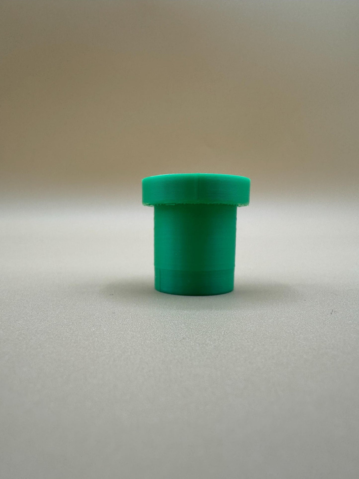 Tube Hide jumping spider hide