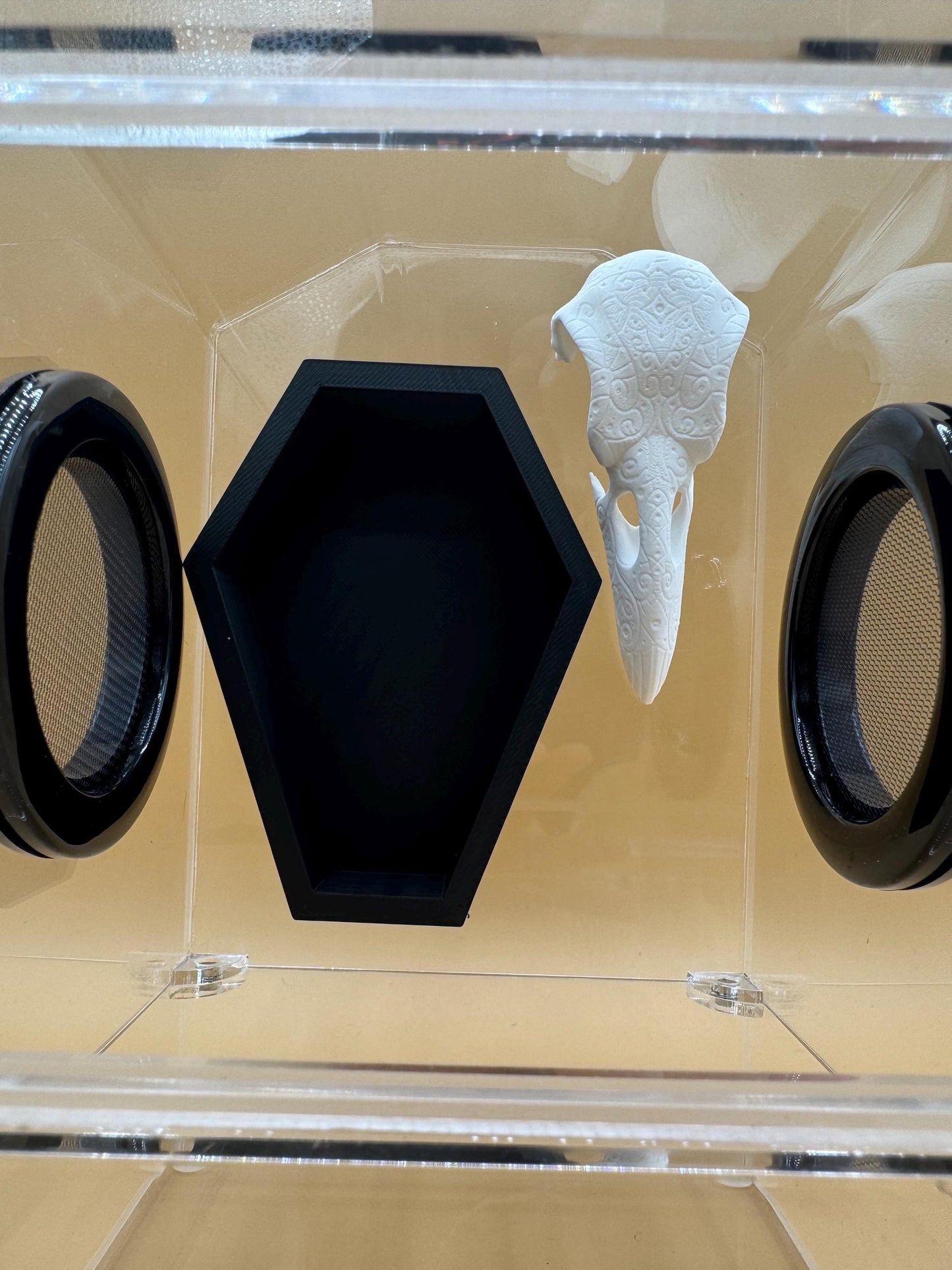 Coffin aviary magnetic Jumping Spider Hide *Built In Magnet*