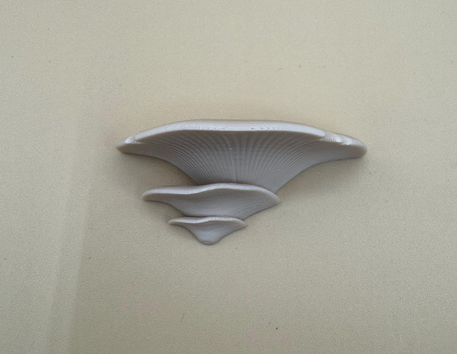 Magnetic mushroom ledge bundle *Built In Magnet*