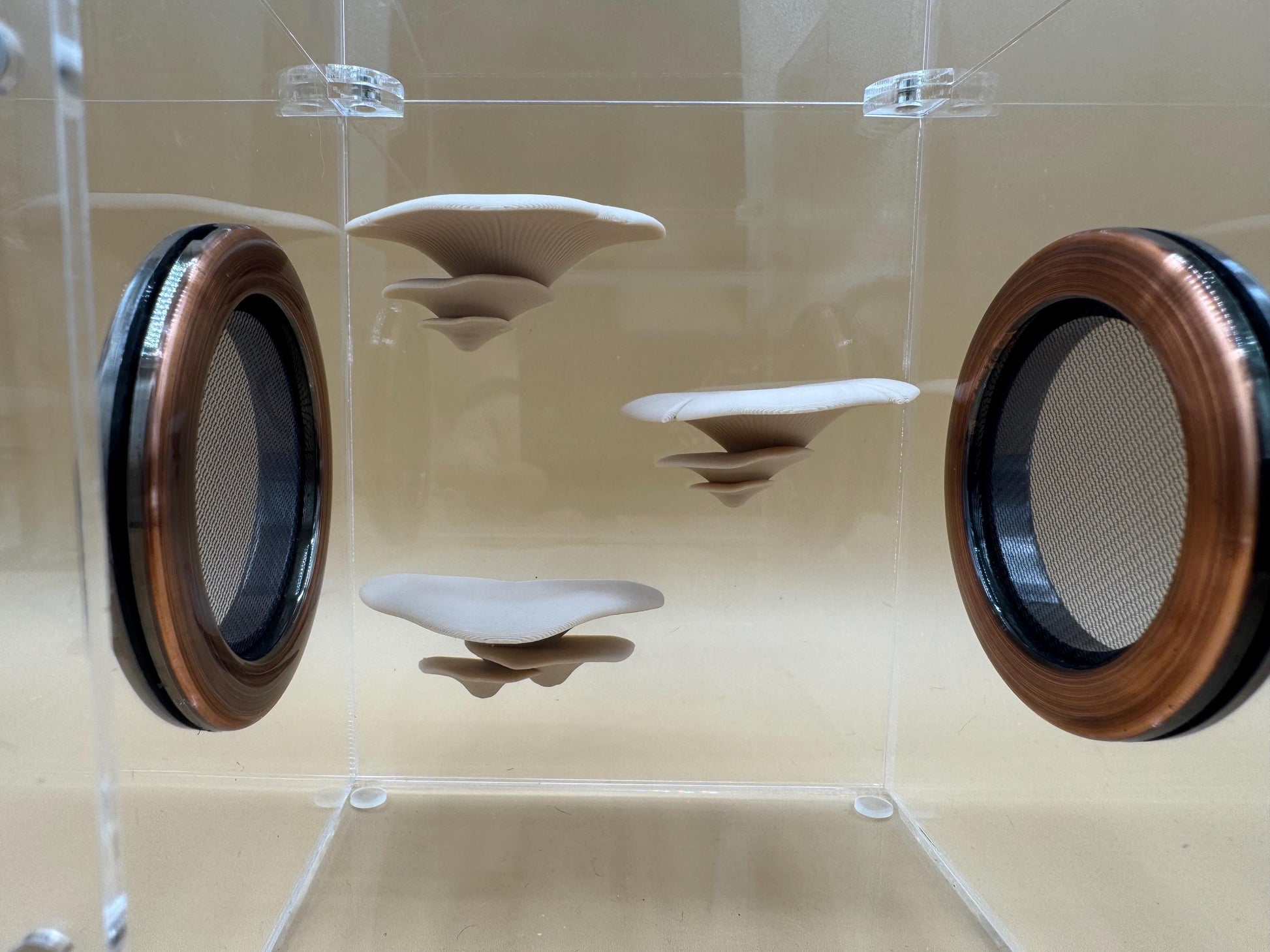 Magnetic mushroom ledge bundle *Built In Magnet*