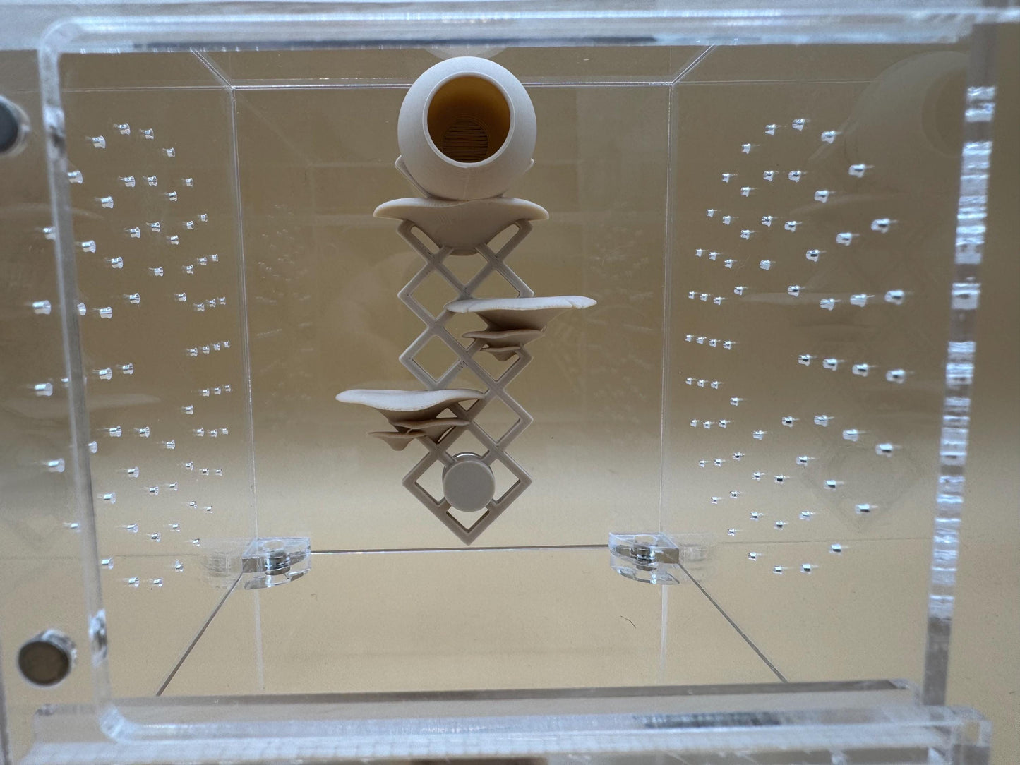 Mushroom lattice hide/ ledge for jumping spiders *Built In Magnet*