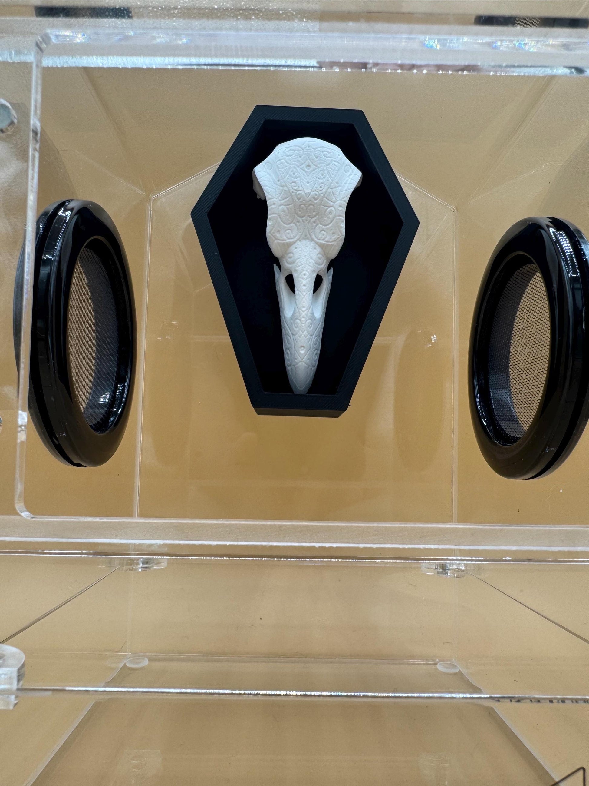 Coffin aviary magnetic Jumping Spider Hide *Built In Magnet*