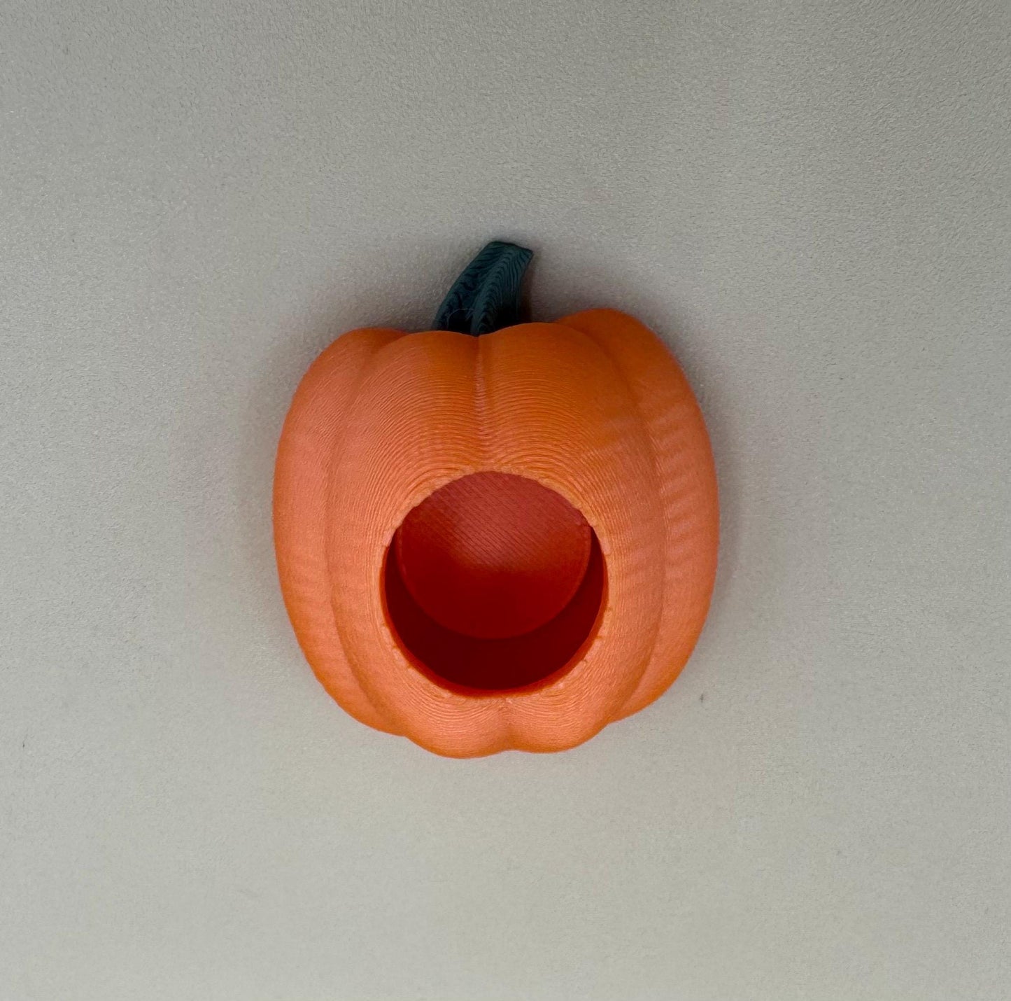 Pumpkin Jumping Spider Hide *Built In Magnet*