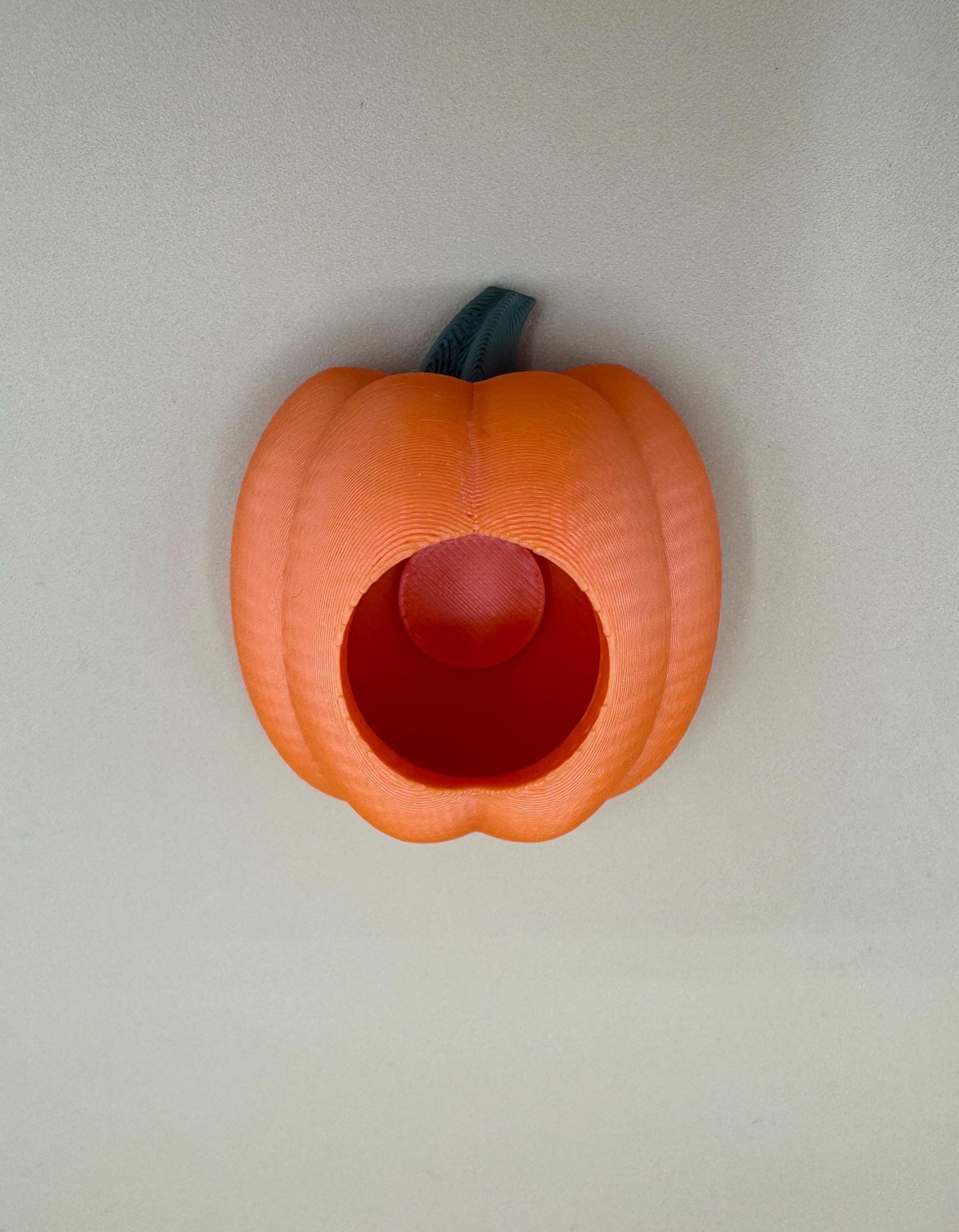 Pumpkin Jumping Spider Hide *Built In Magnet*