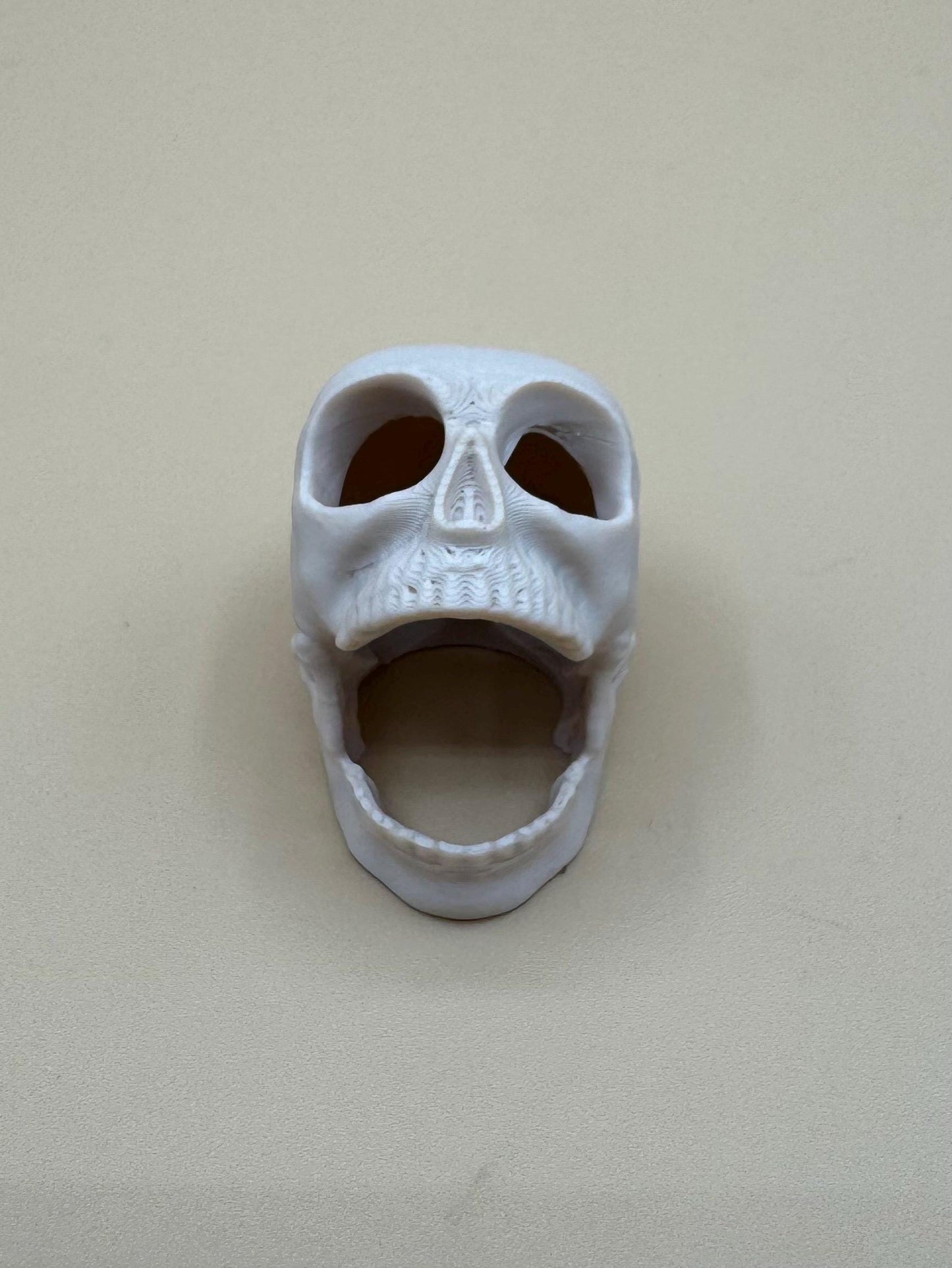 Screaming skull Jumping Spider Hide *Built In Magnet*
