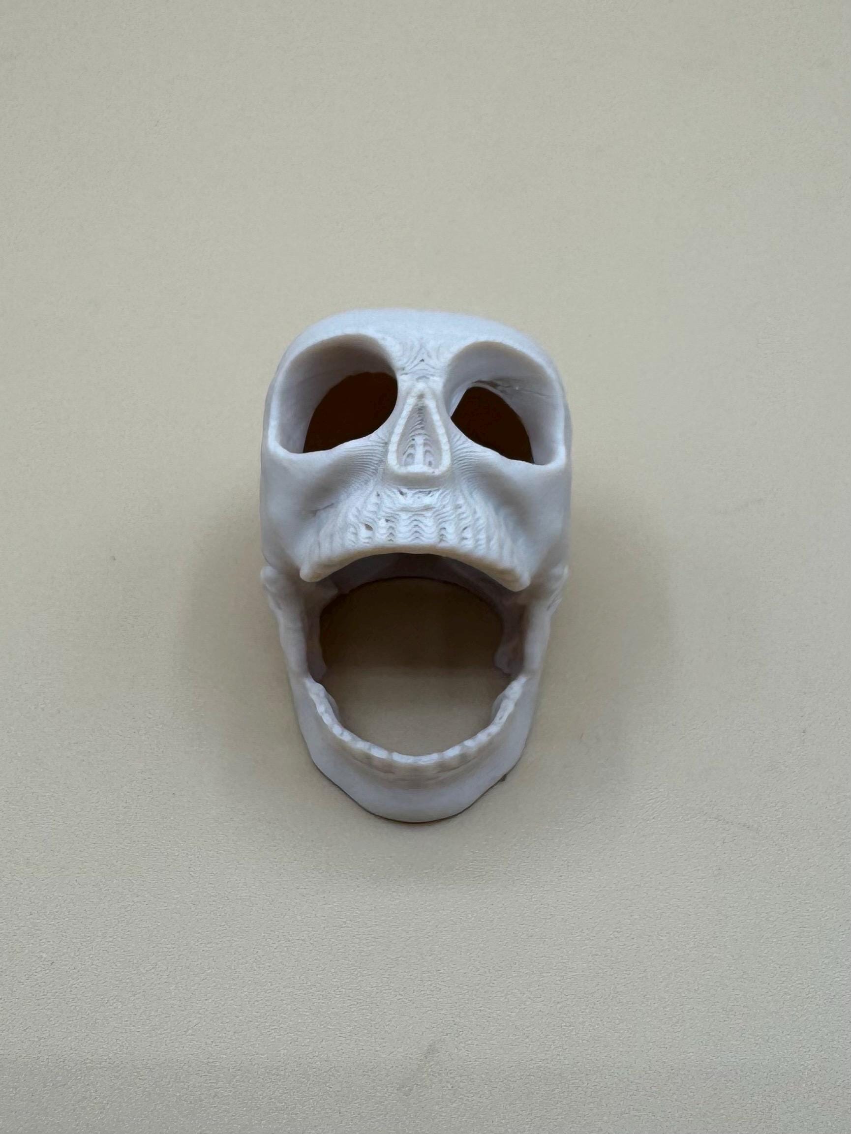 Screaming skull Jumping Spider Hide *Built In Magnet*