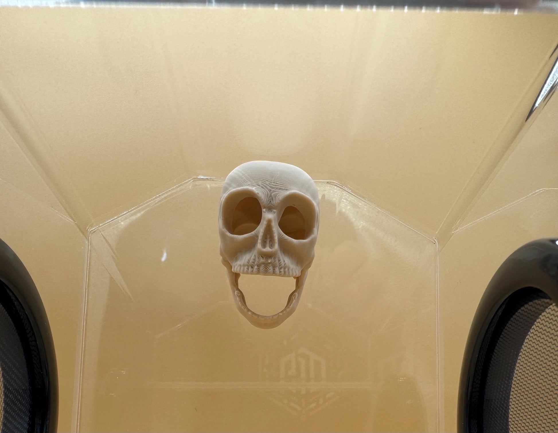 Screaming skull Jumping Spider Hide *Built In Magnet*