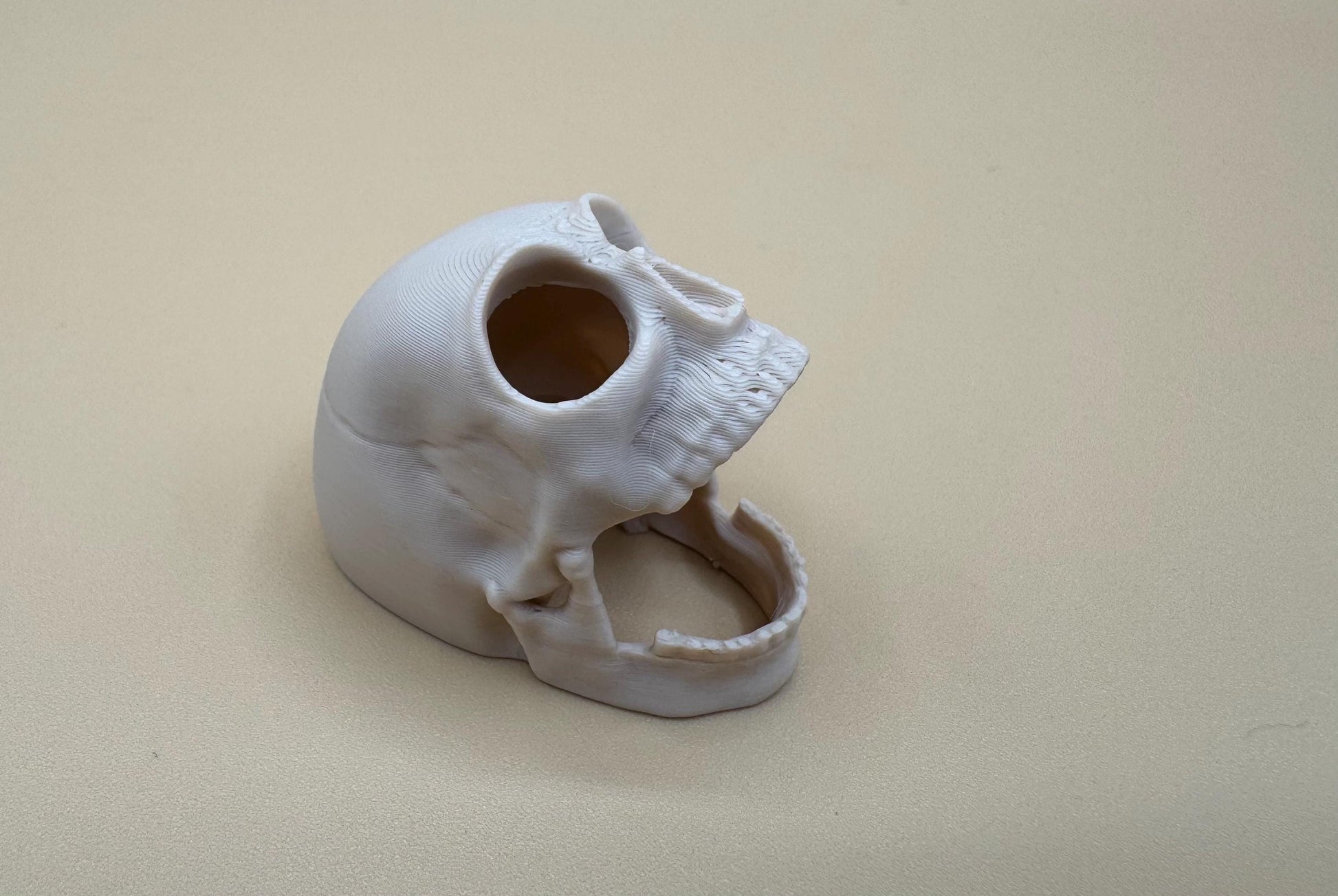 Screaming skull Jumping Spider Hide *Built In Magnet*