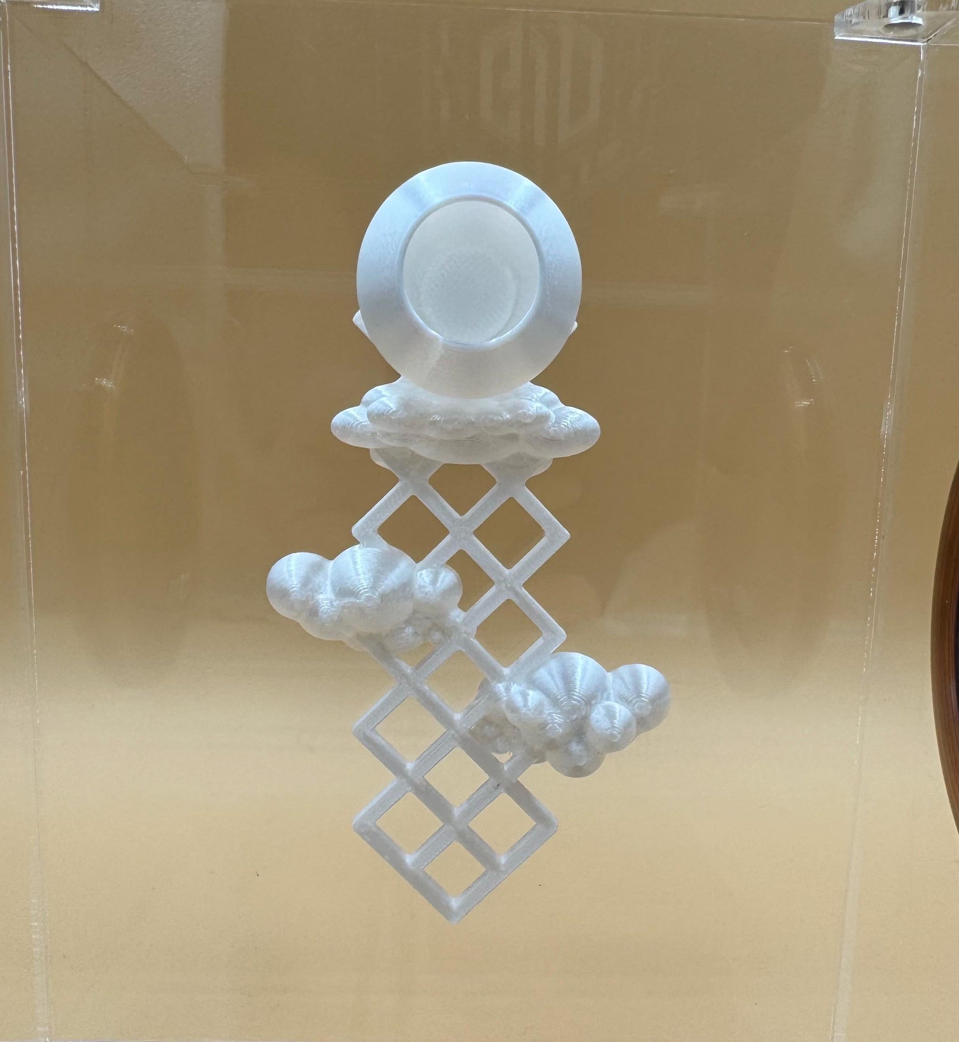 Cloud lattice hide/ ledge for jumping spiders *Built In Magnet*