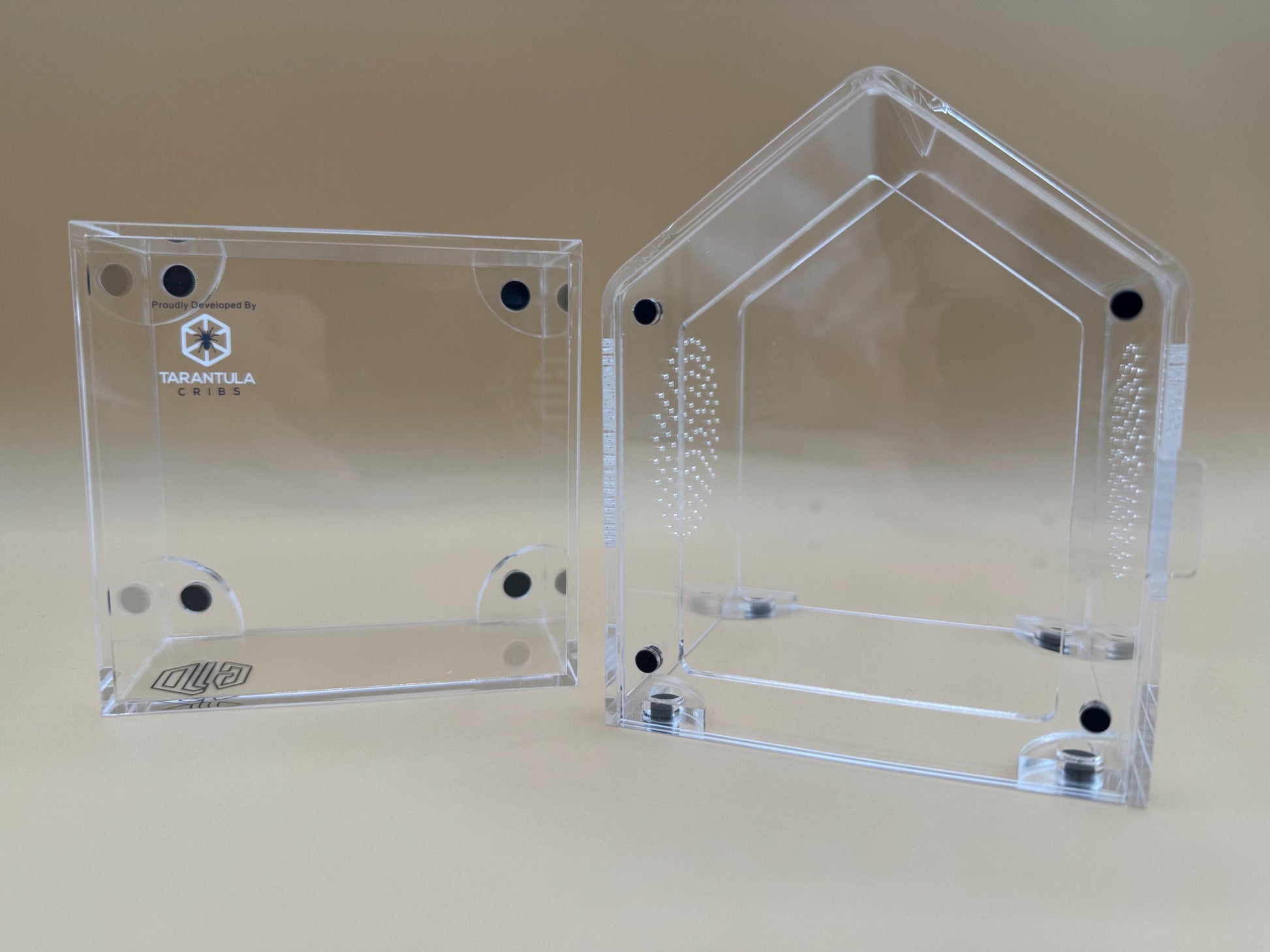 4x4x7” Tarantula Cribs “Canopy” jumping spider enclosure