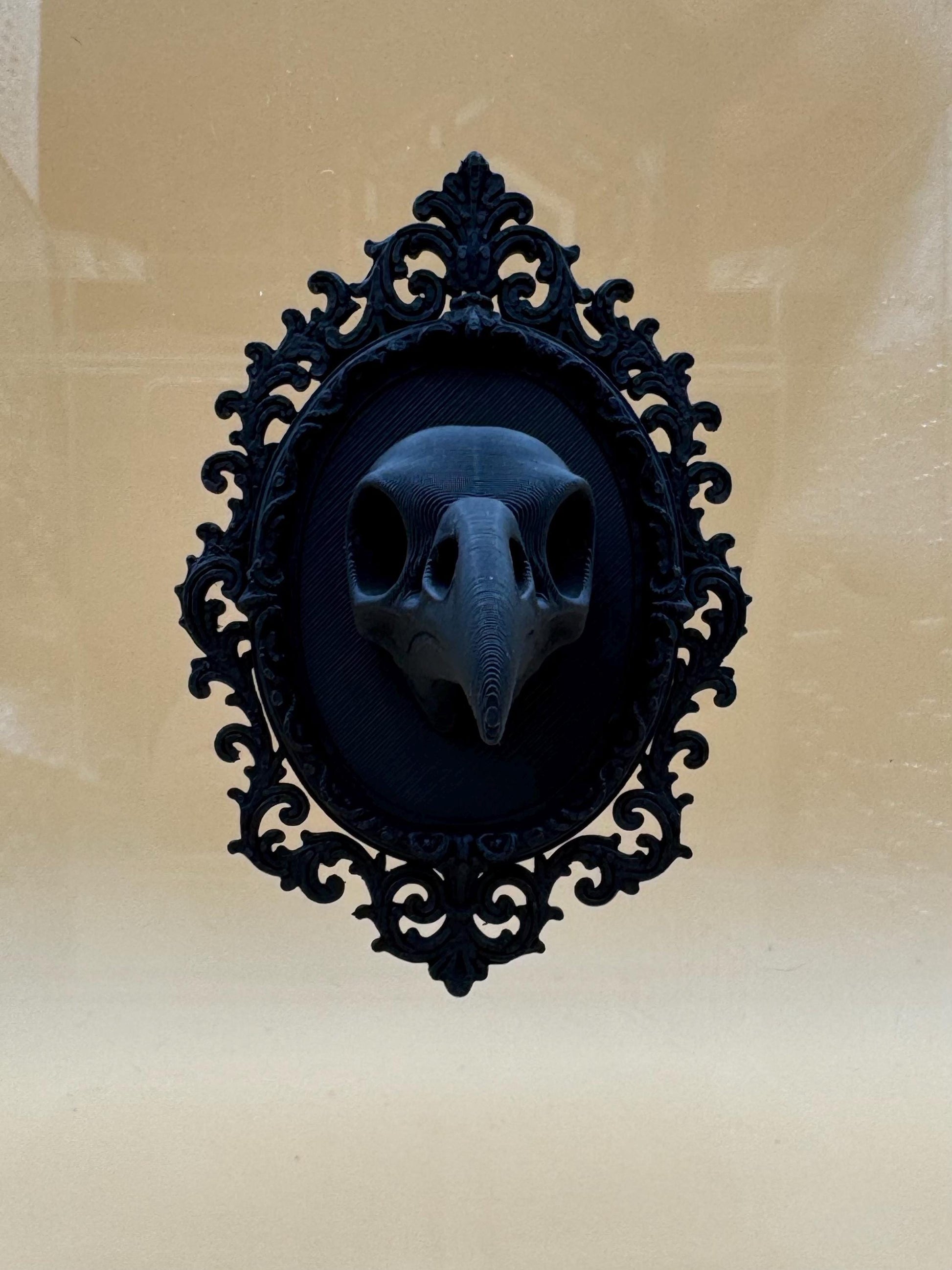 Gothic crow shelf ledge/ background for jumping spiders