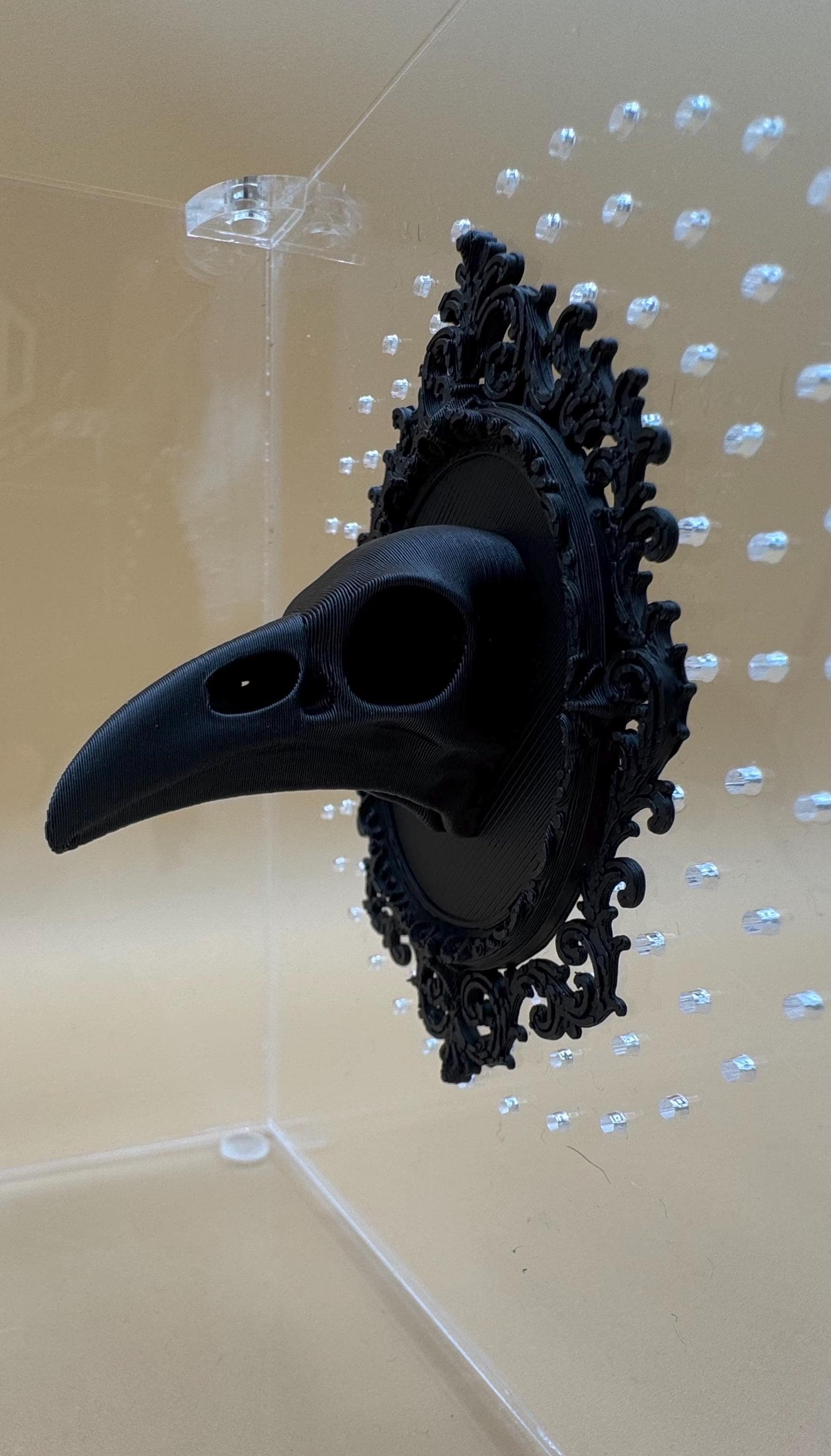 Gothic crow shelf ledge/ background for jumping spiders
