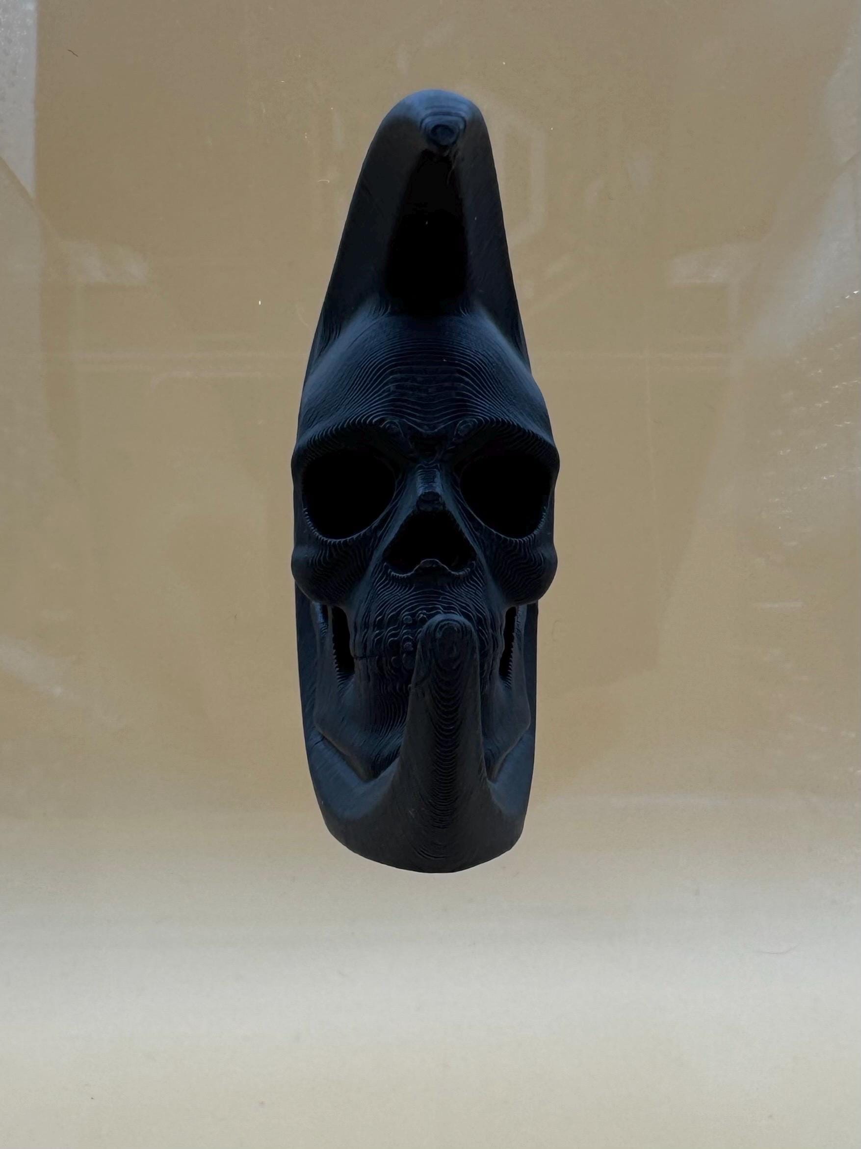 Skull moon ledge for jumping spiders