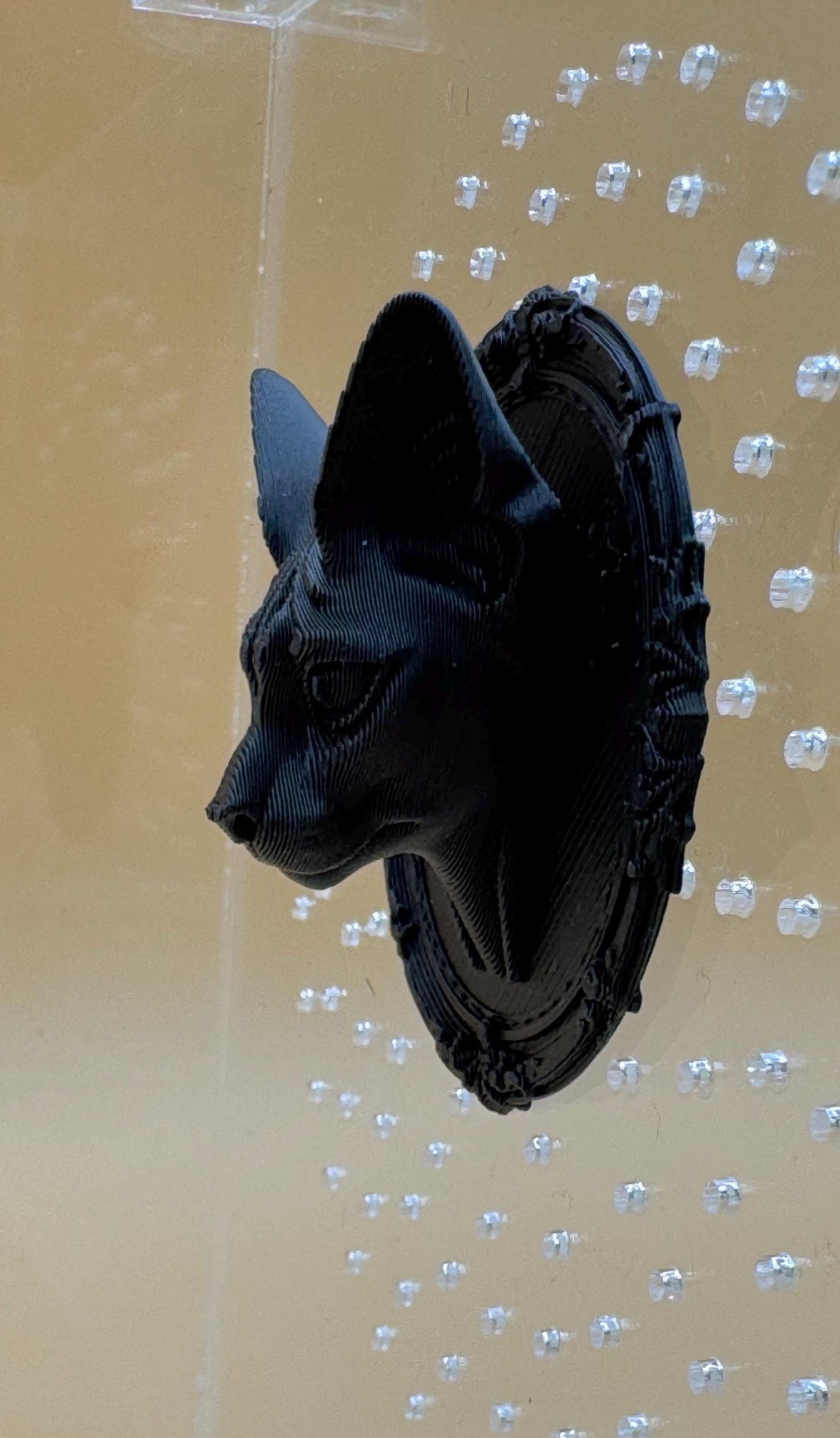 Gothic cat shelf ledge/ background for jumping spiders