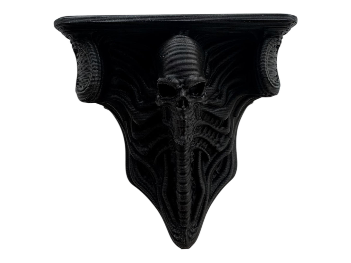 Gothic Rounded Skull Corbel shelf for jumping spiders