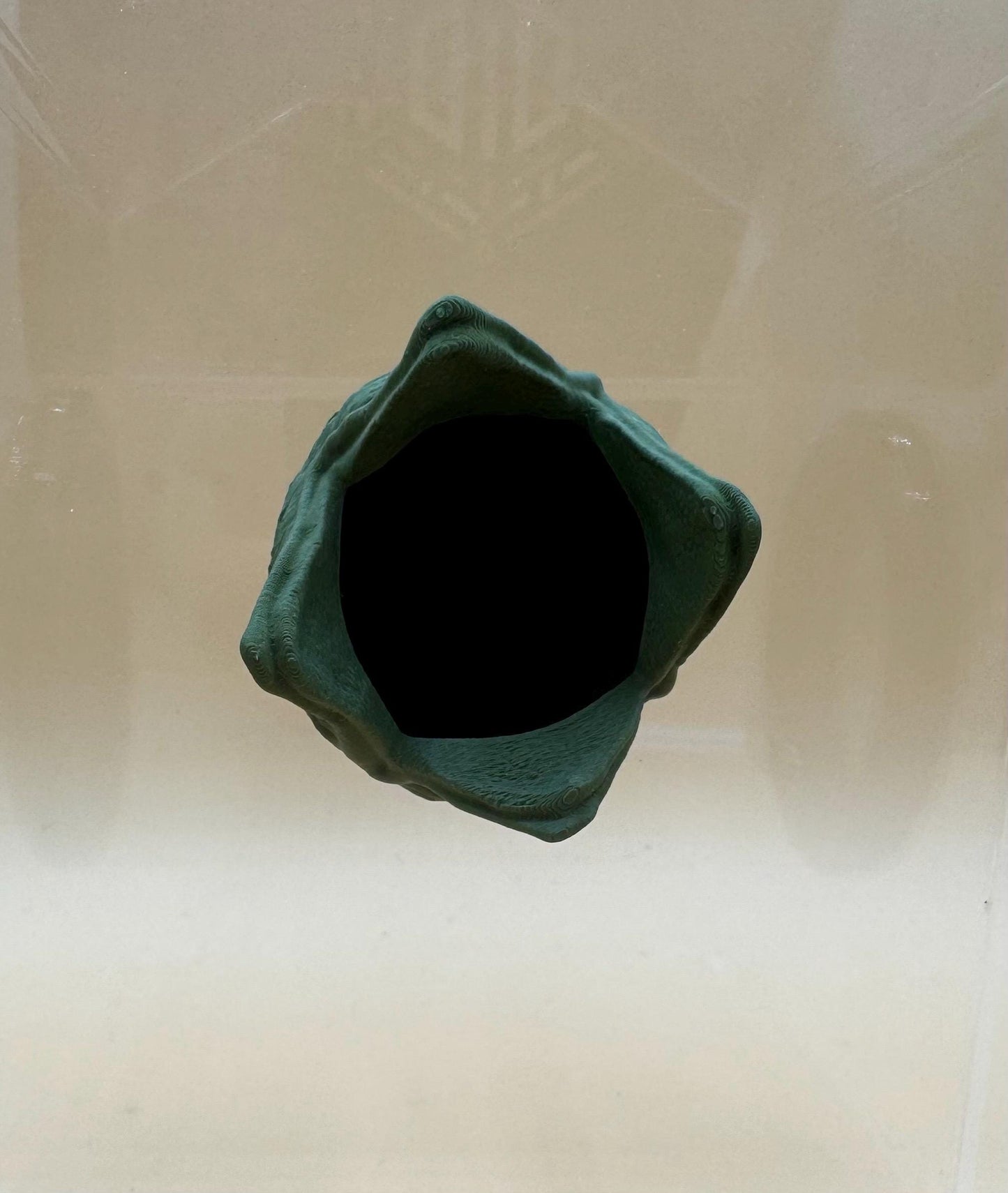 Alien egg Jumping Spider Hide *Built In Magnet*