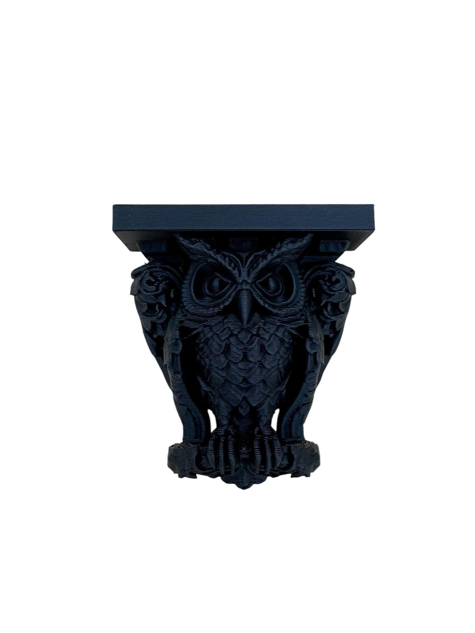Owl Corbel Scrollwork shelf for jumping spiders