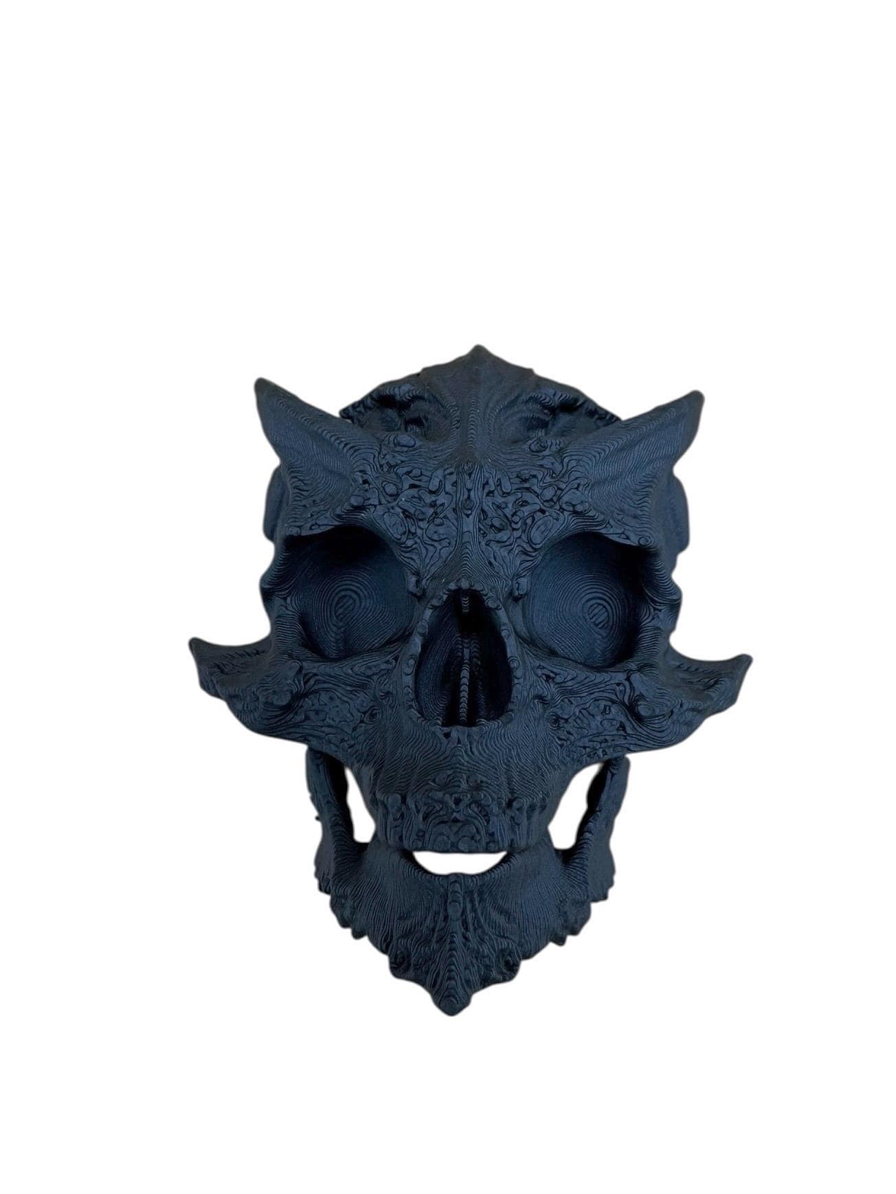 Cryptic skull ledge for jumping spiders