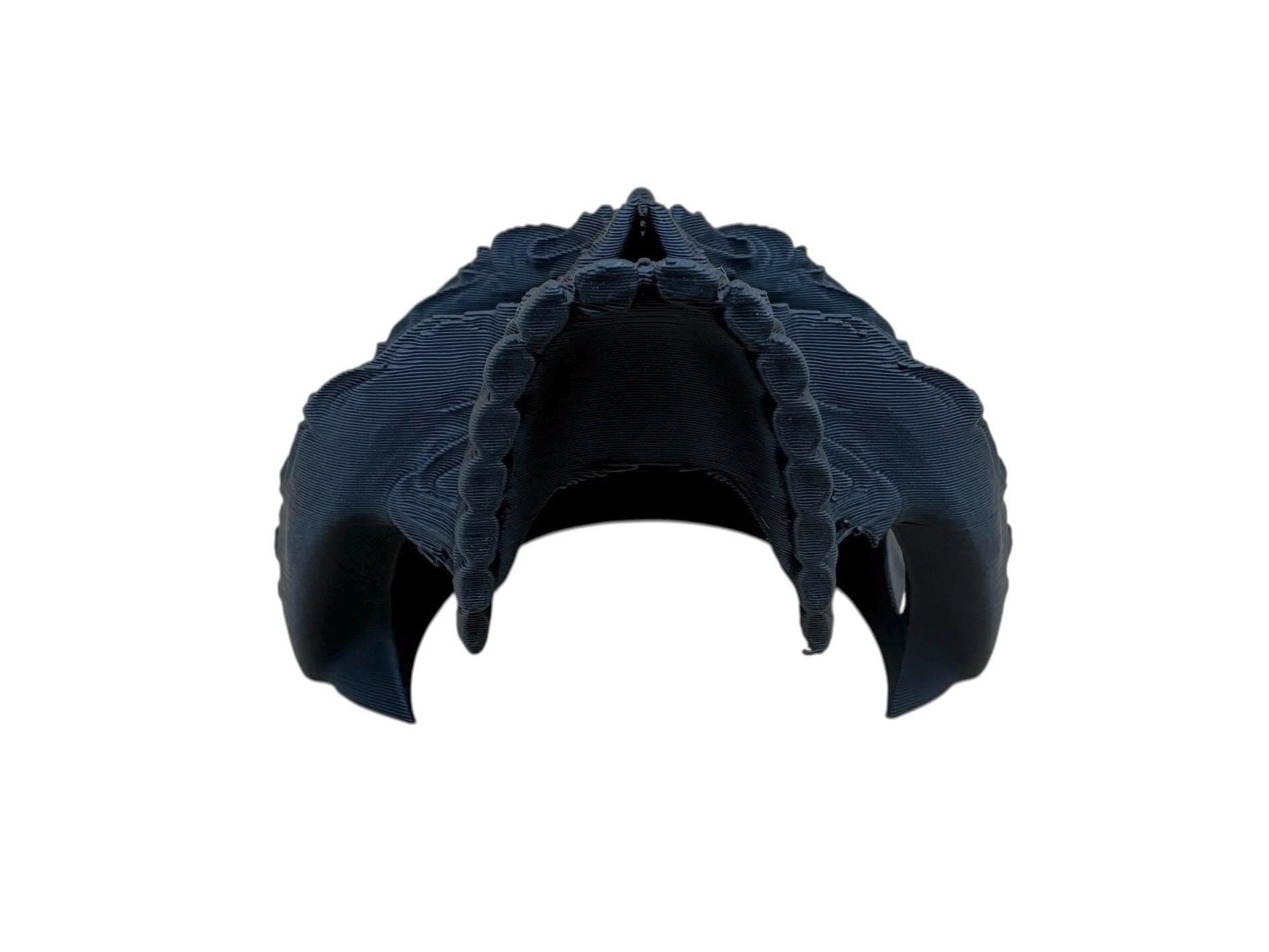 Ornate Skull Hide for jumping spiders