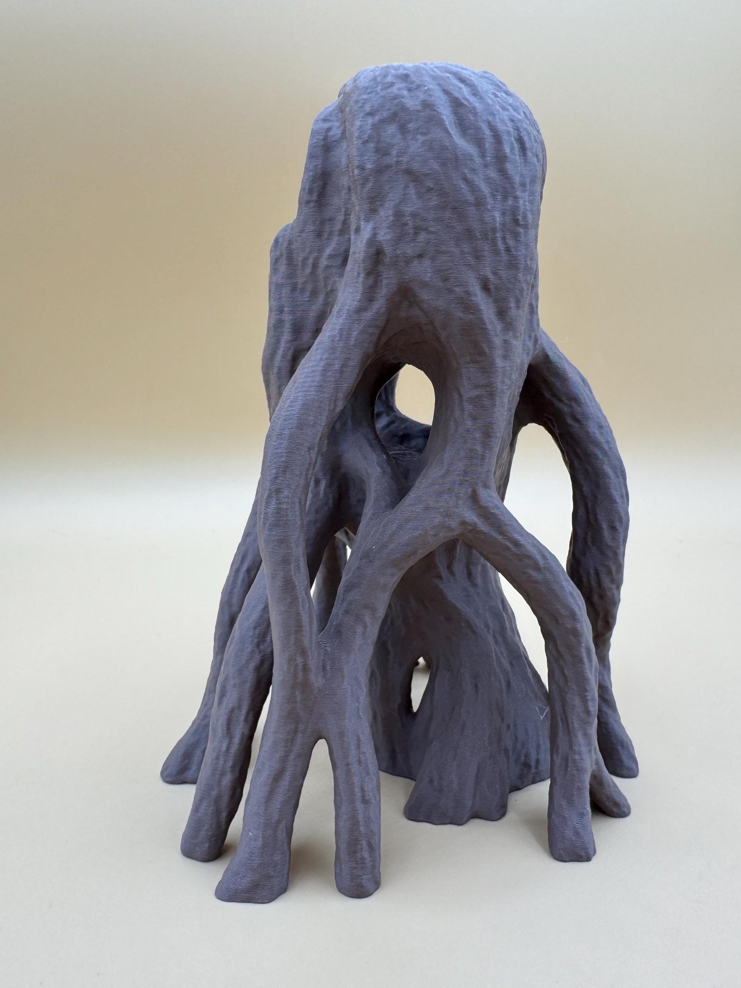 Mangrove base for jumping spiders